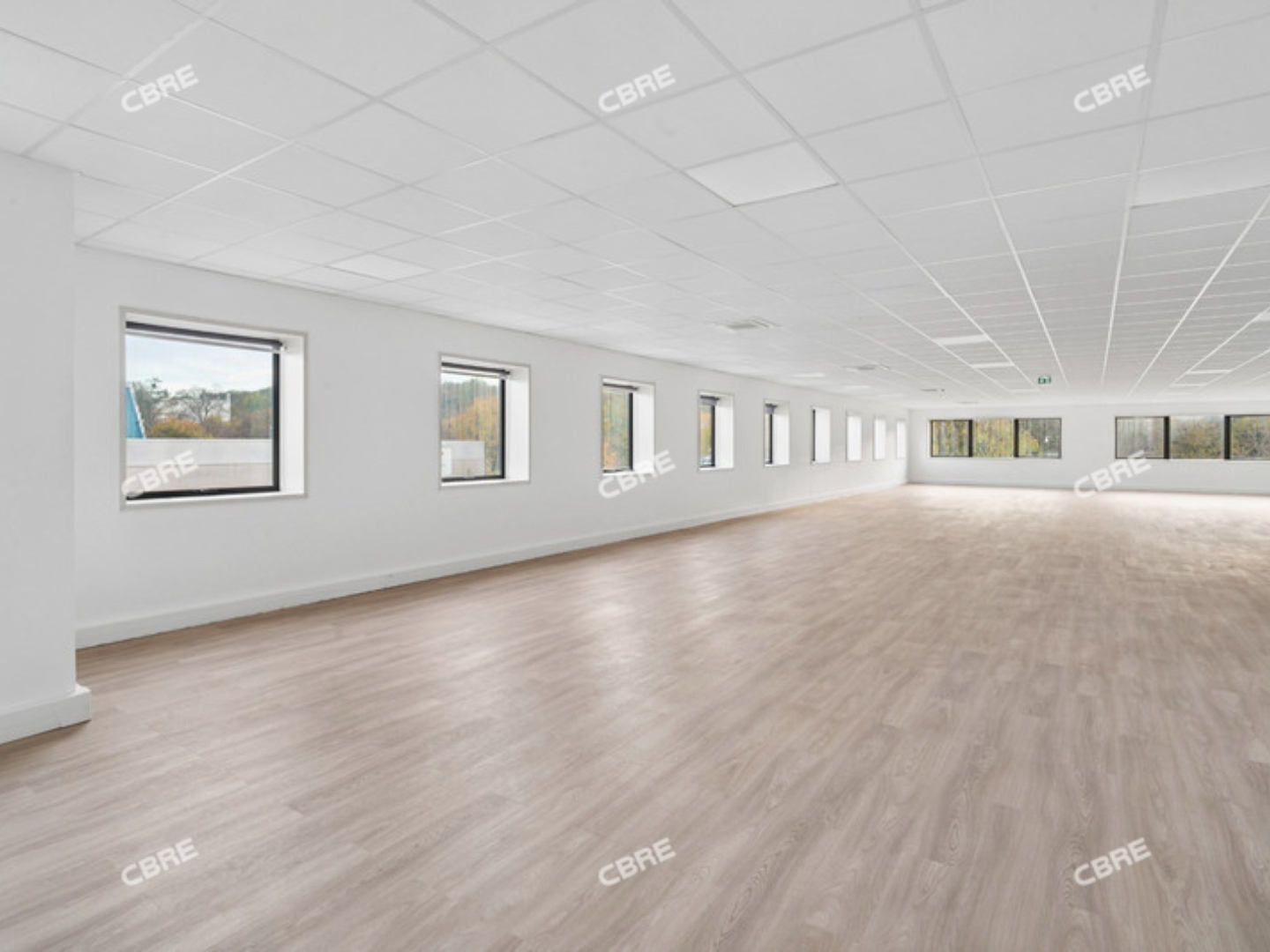 Bureau 255 m²