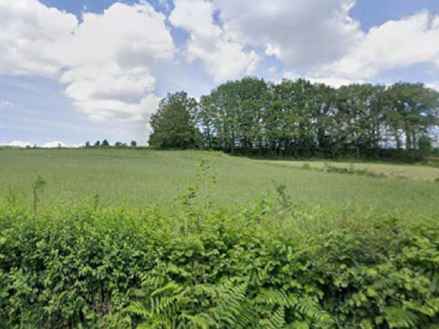 Terrain constructible de 2622m²