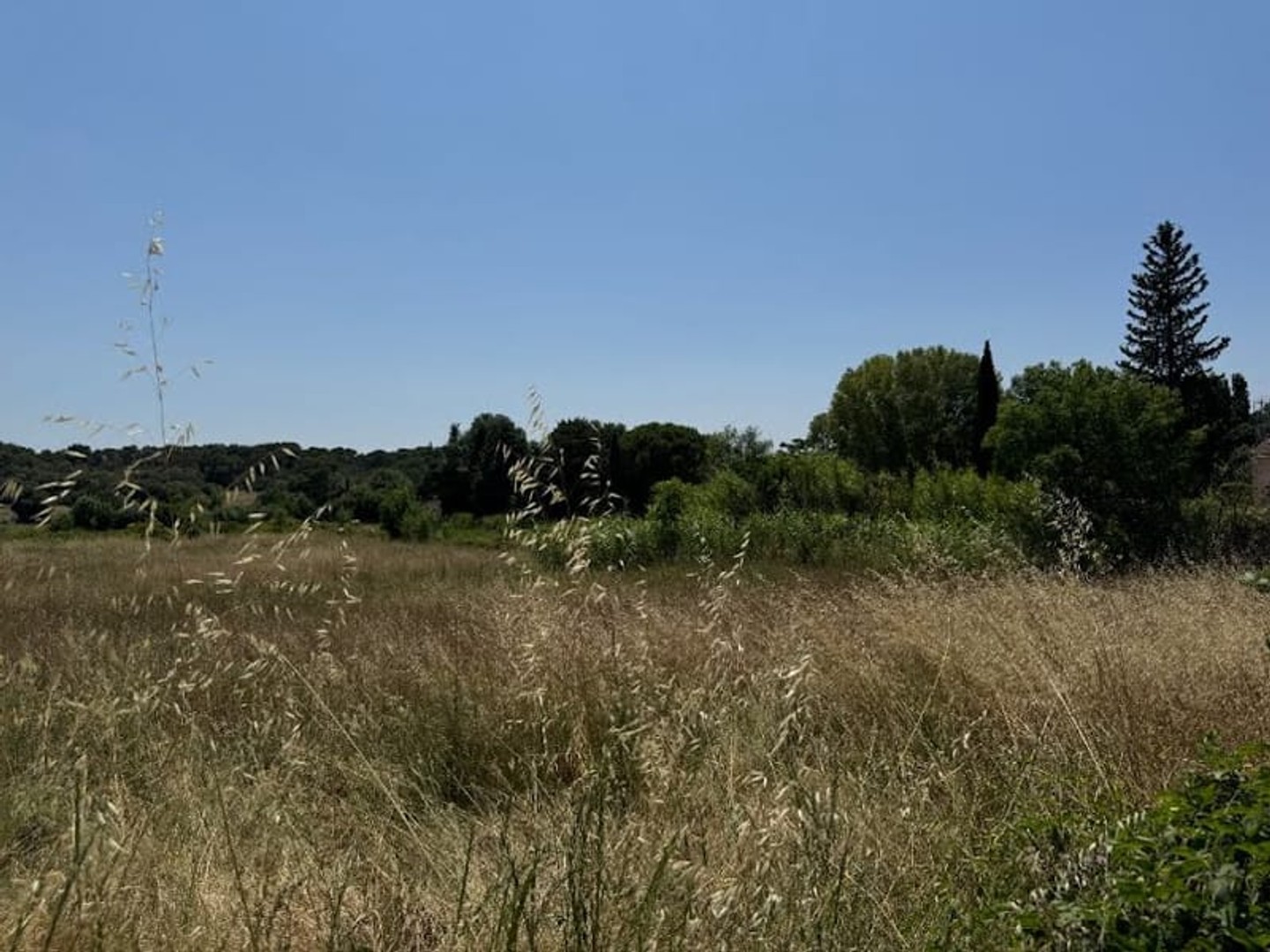 Terrain 400 m²