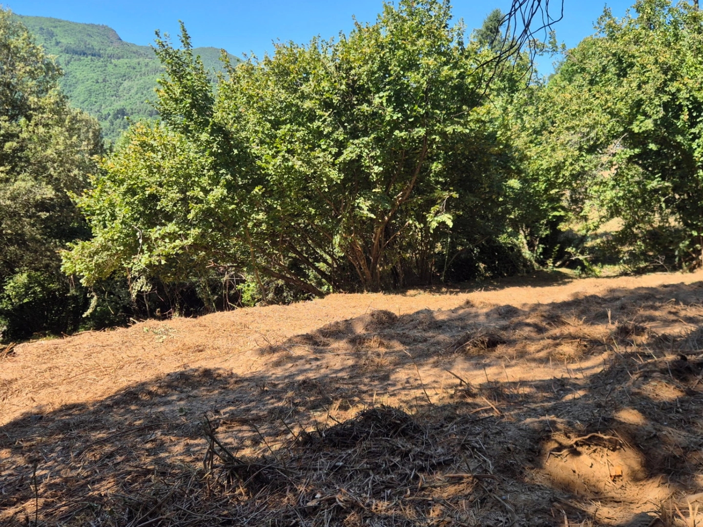 Terrain 9403 m²