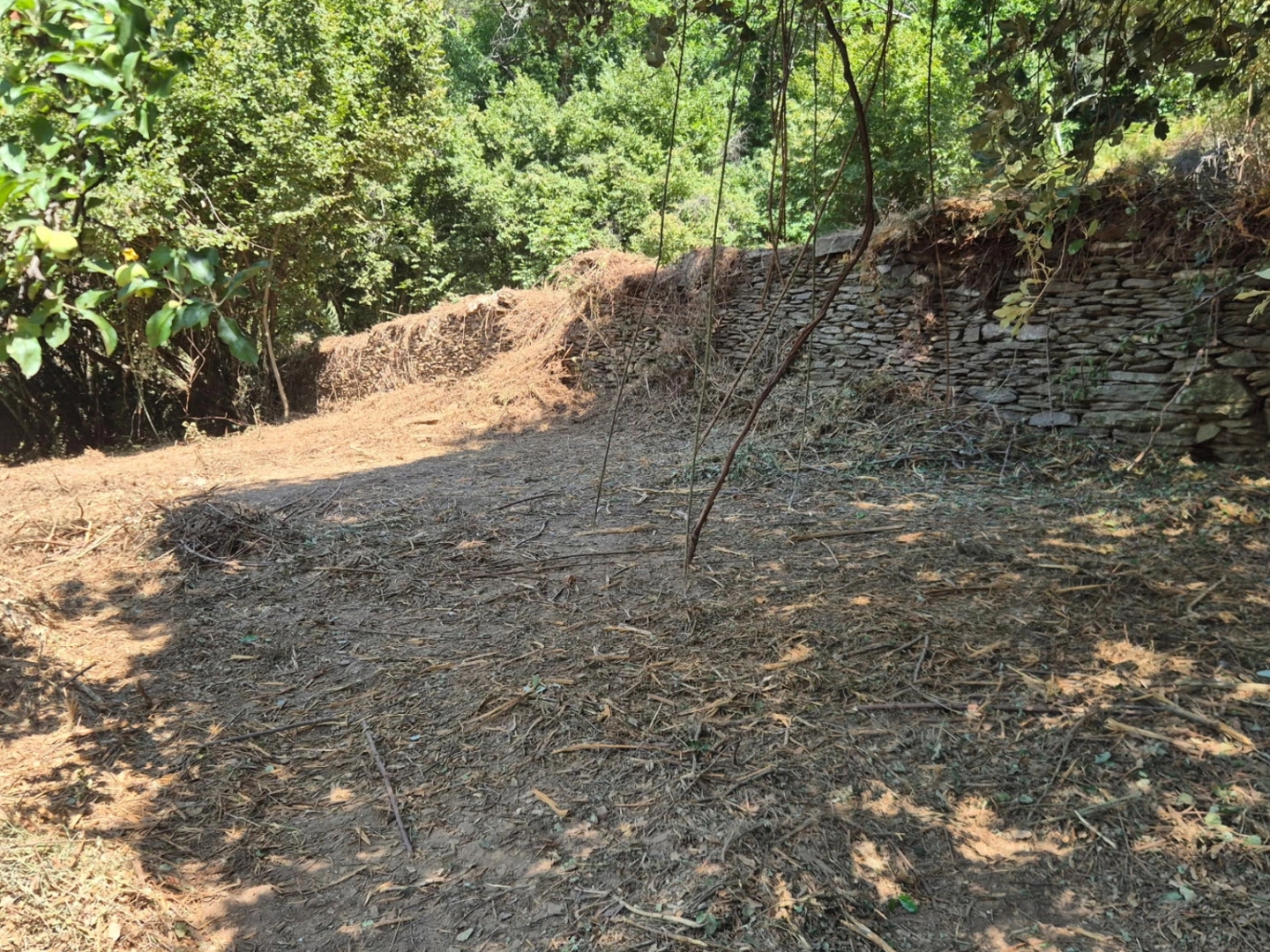 Terrain à vendre - 9403m2 - Le Collet-De-Dèze (48160)