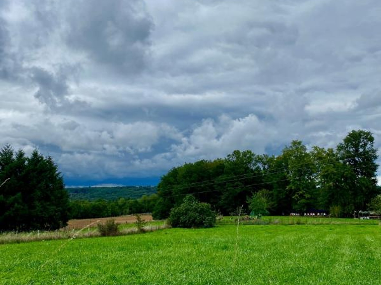 TERRAIN A BATIR- THIVIERS