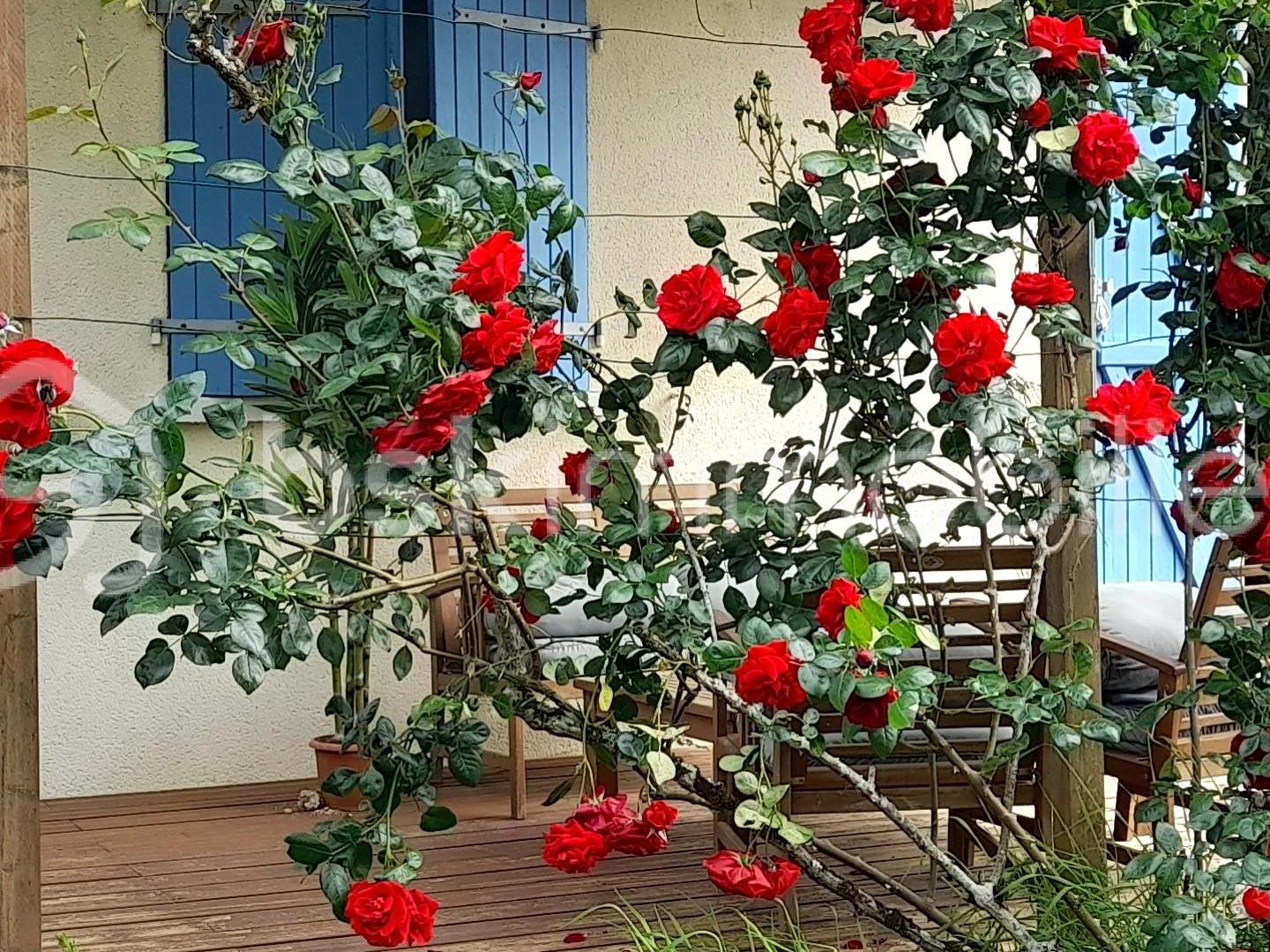 Maison 8 pièces 145 m²
