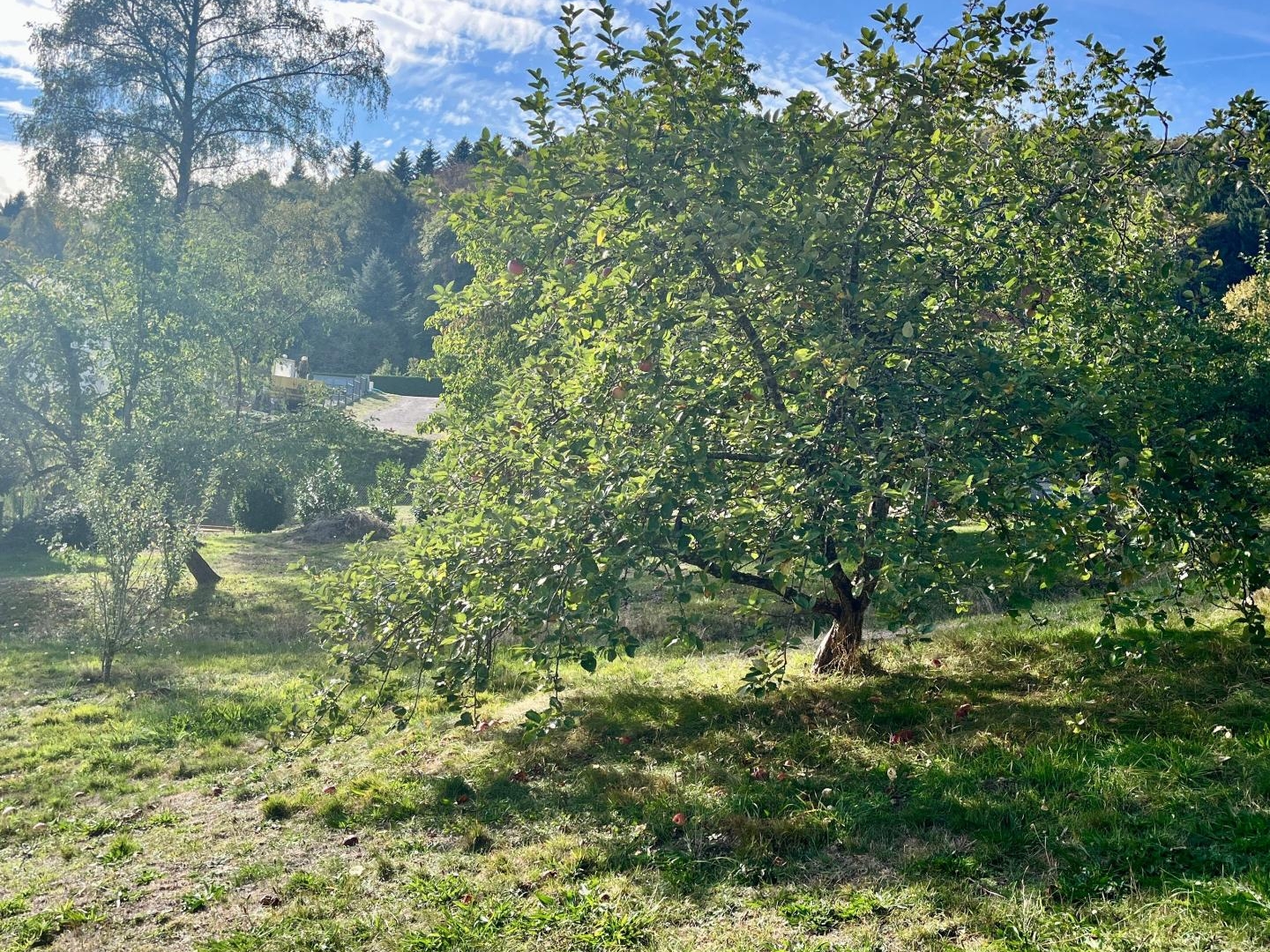 Terrain à vendre - 1424m2 - Saint-Nabord (88200)