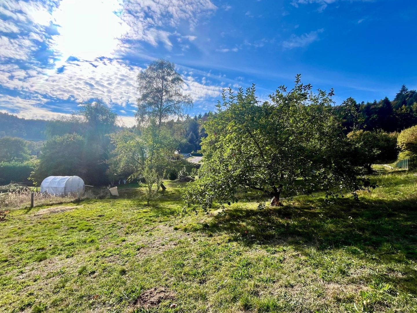 Terrain à vendre - 1424m2 - Saint-Nabord (88200)