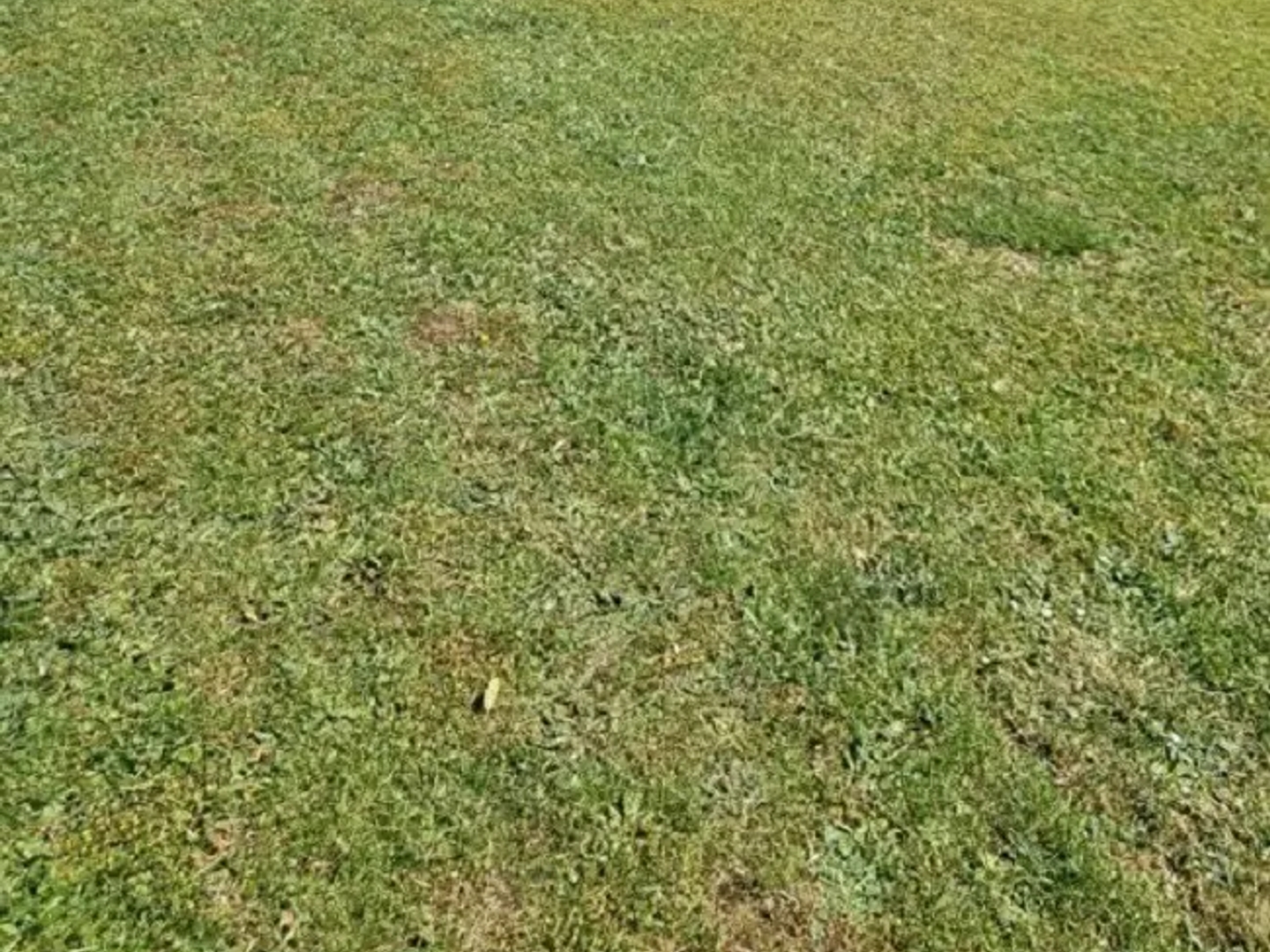 Terrain 629 m²