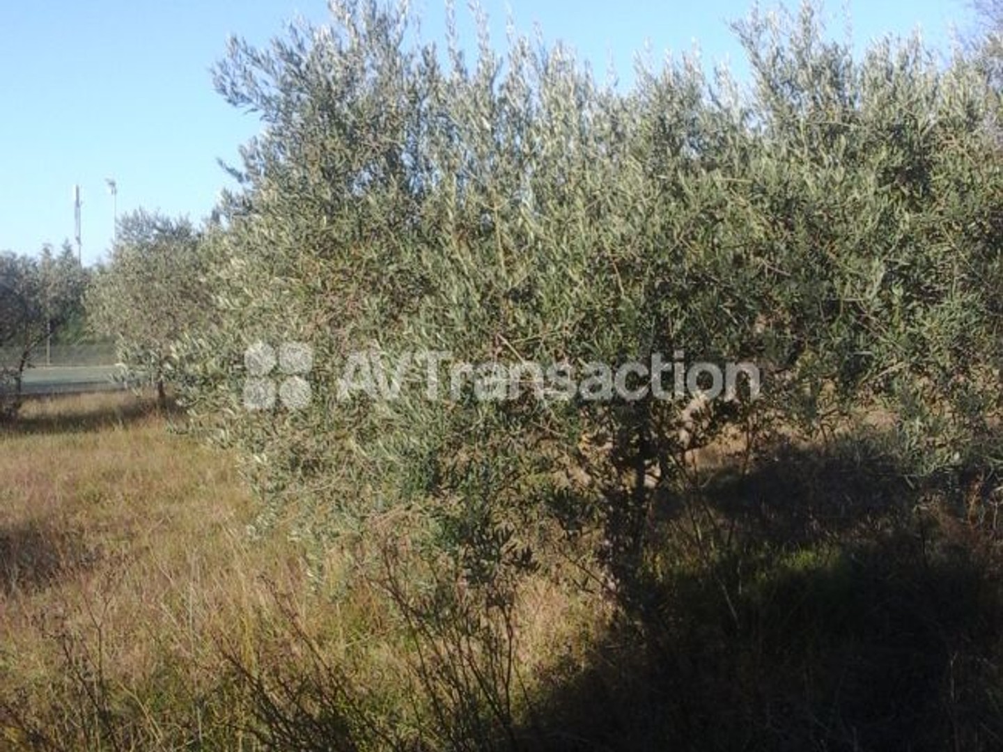 beau terrain constructible 600 m2