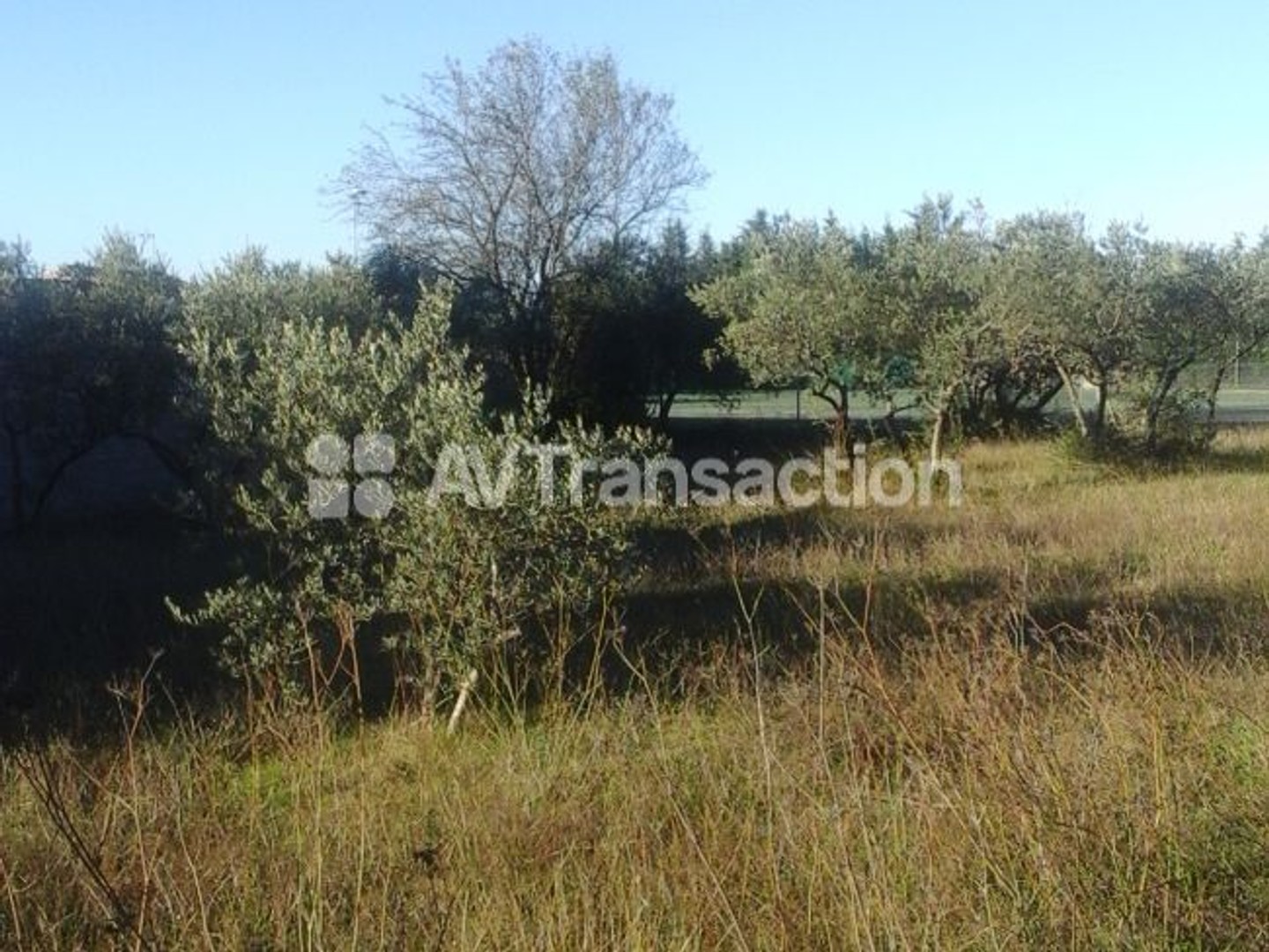 Terrain à vendre - 900m2 - Mérindol (84360)