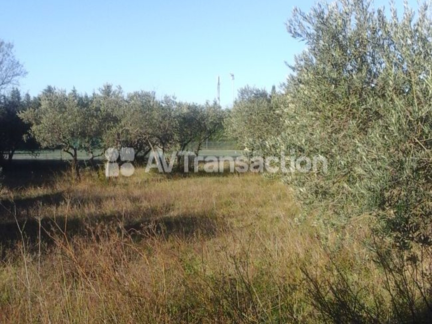Terrain à vendre - 900m2 - Mérindol (84360)