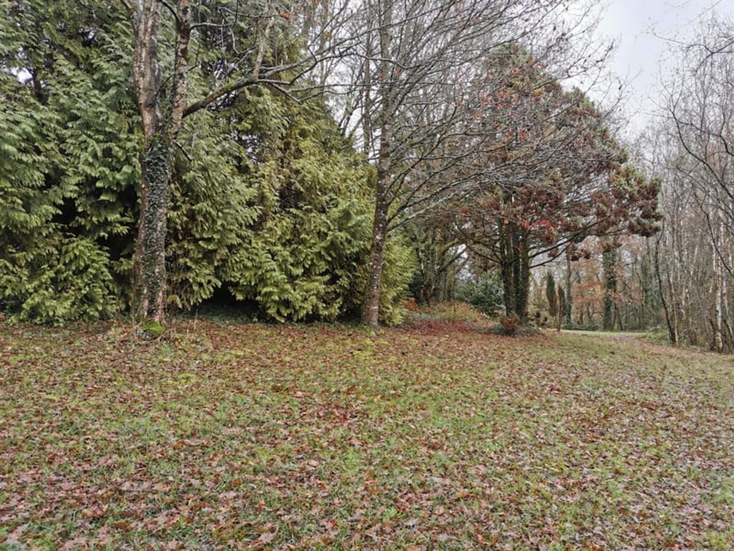 Terrain 2000 m²