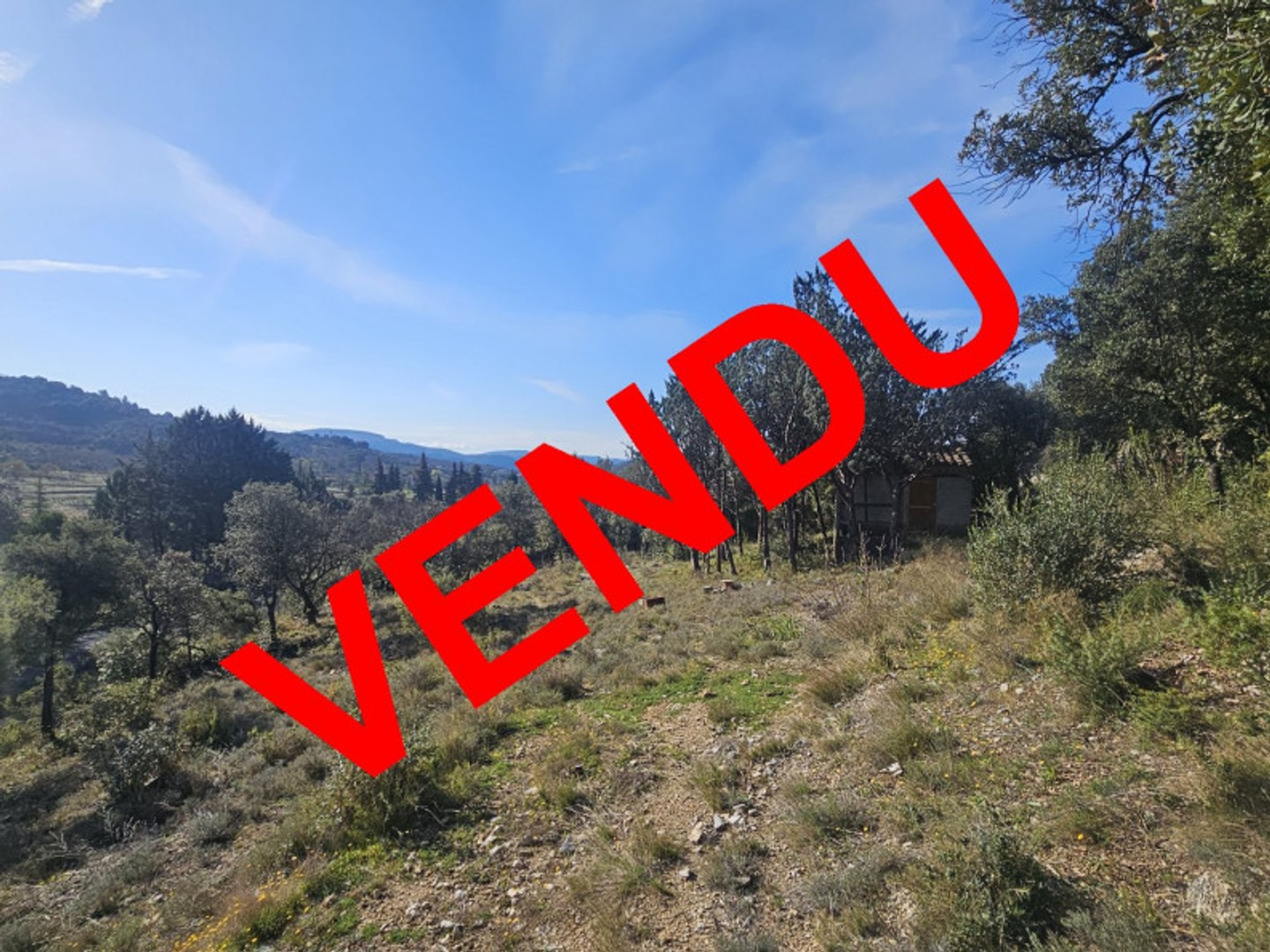 Terrain de loisir 2475 m²