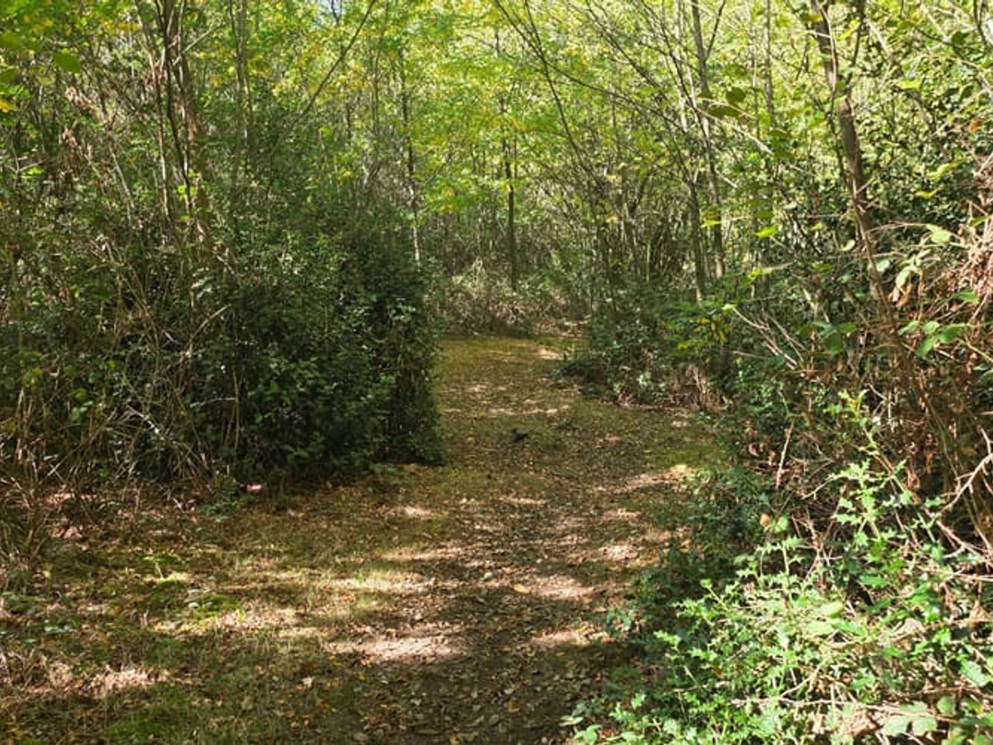 Terrain 22165 m²