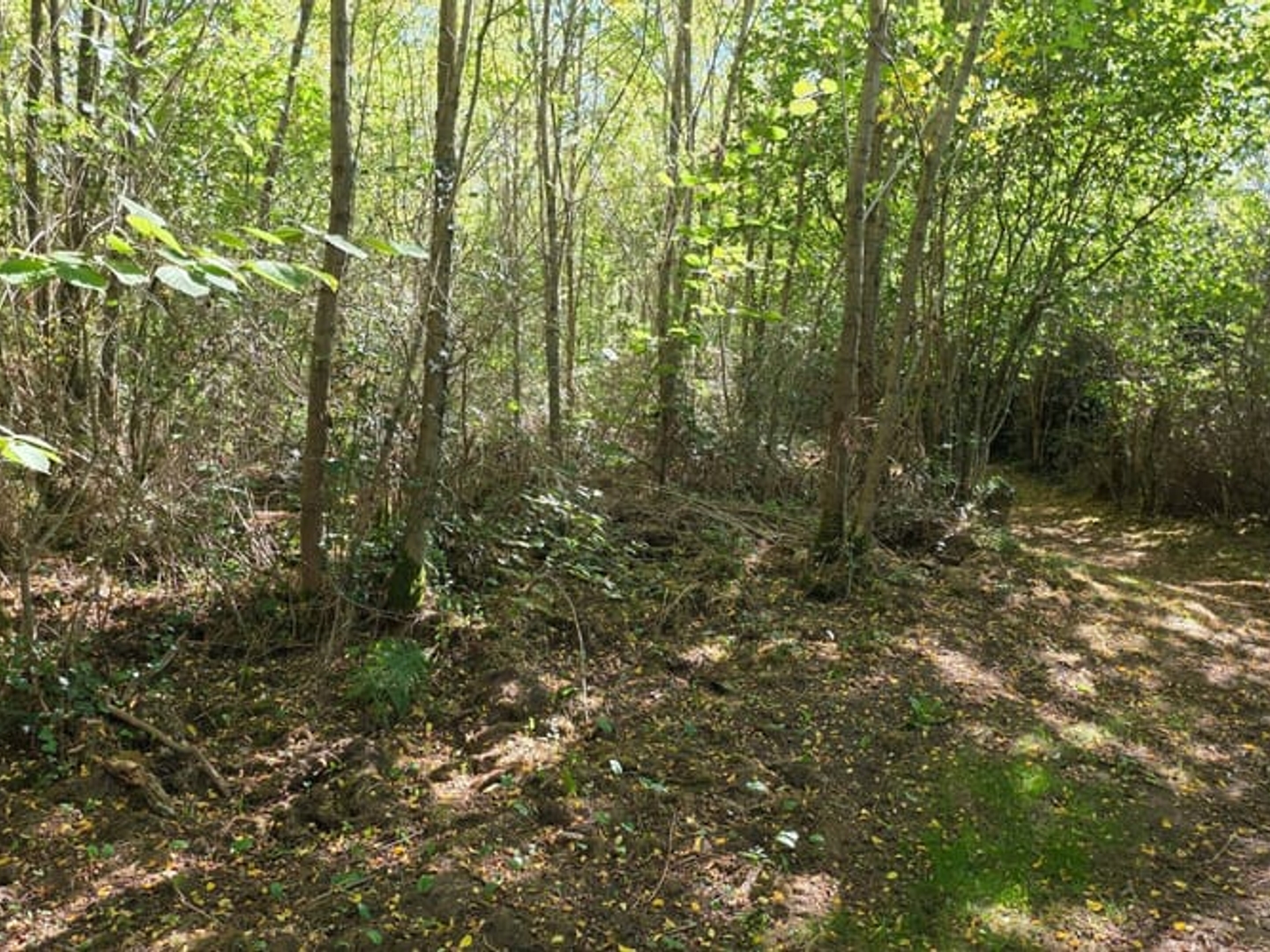 Terrain à vendre - 22165m2 - Capvern (65130)