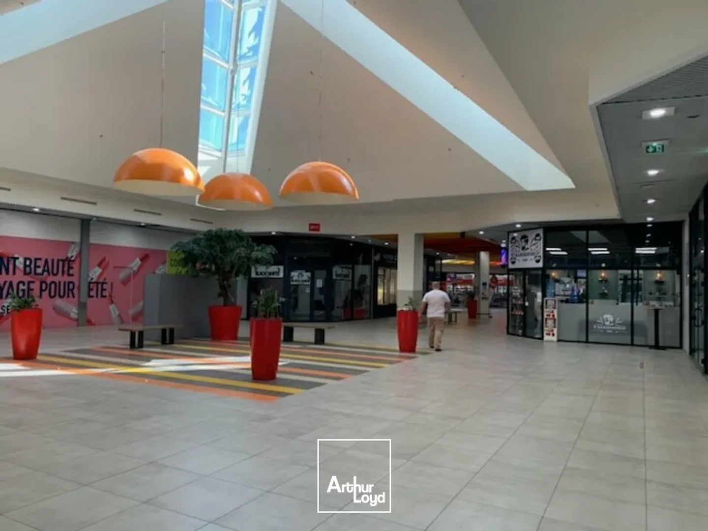Locaux à vendre - 655m2 - Avignon (84000)