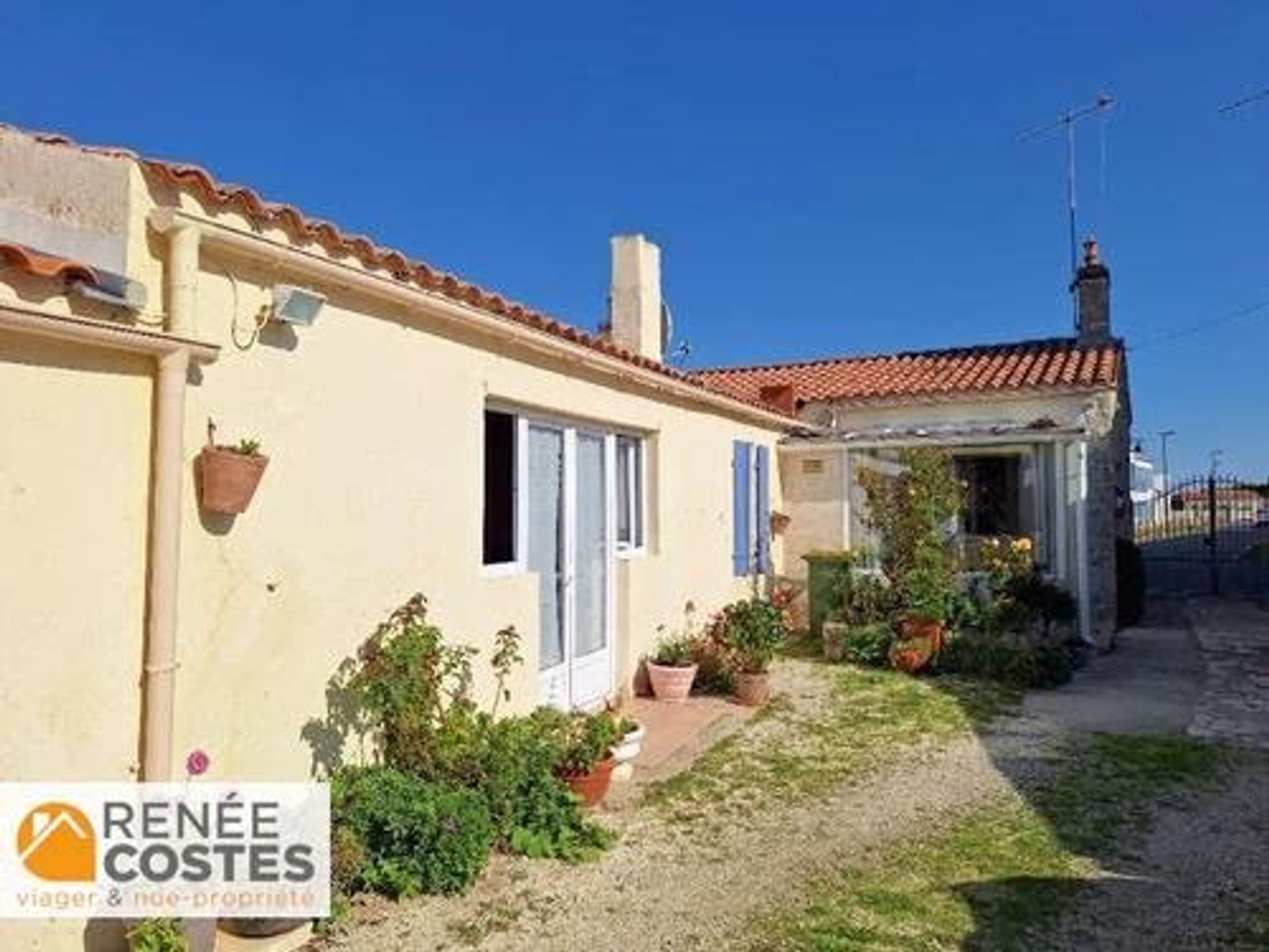 Maison à vendre - 5 pièces - 125m2 - Saint-Pierre-D'ol... (17310)