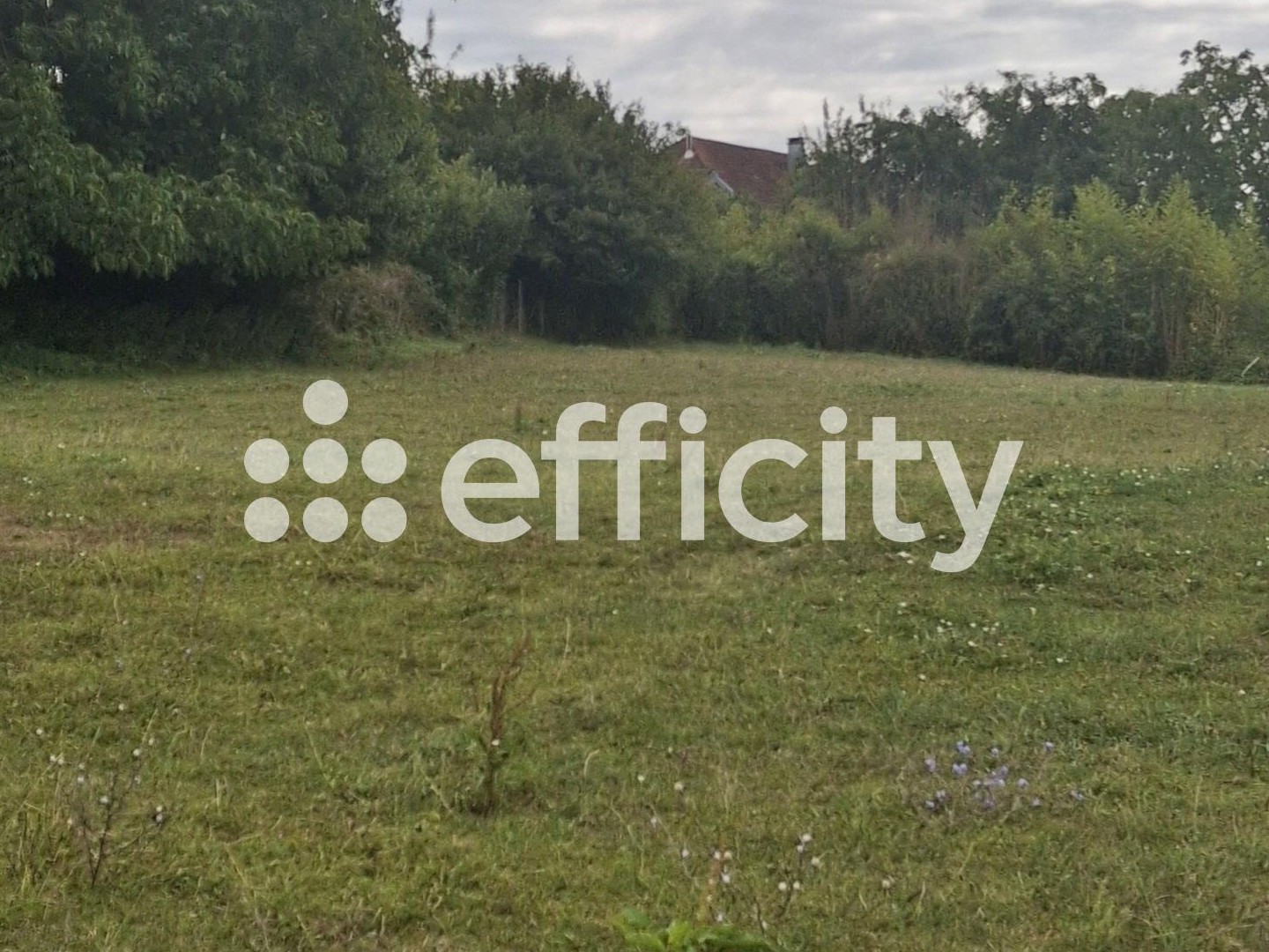 Terrain 1460 m²