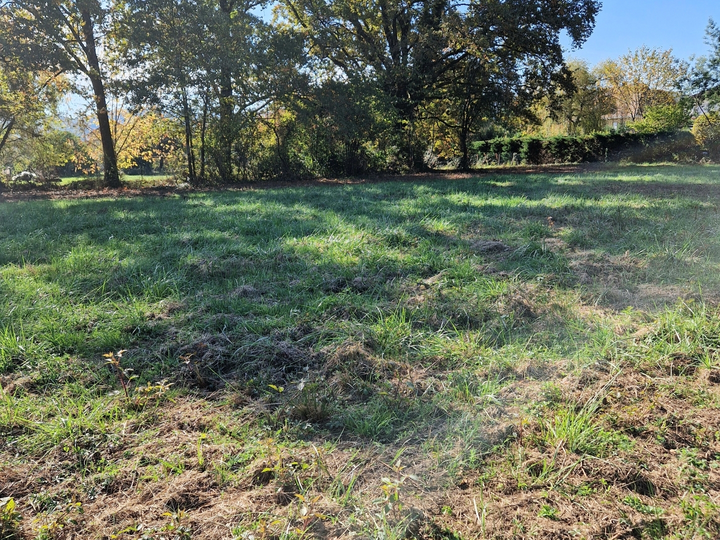 Terrain à vendre - 977m2 - Terrasson-Laville... (24120)