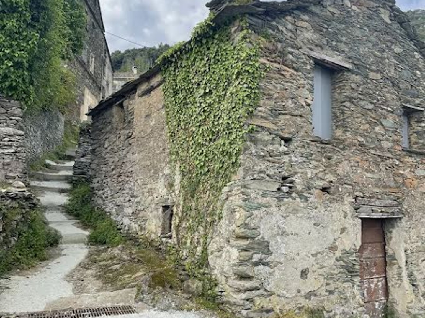 Terrain