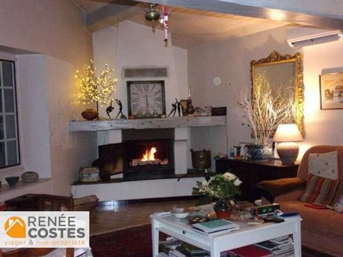 Viager 4 pièces 85 m²