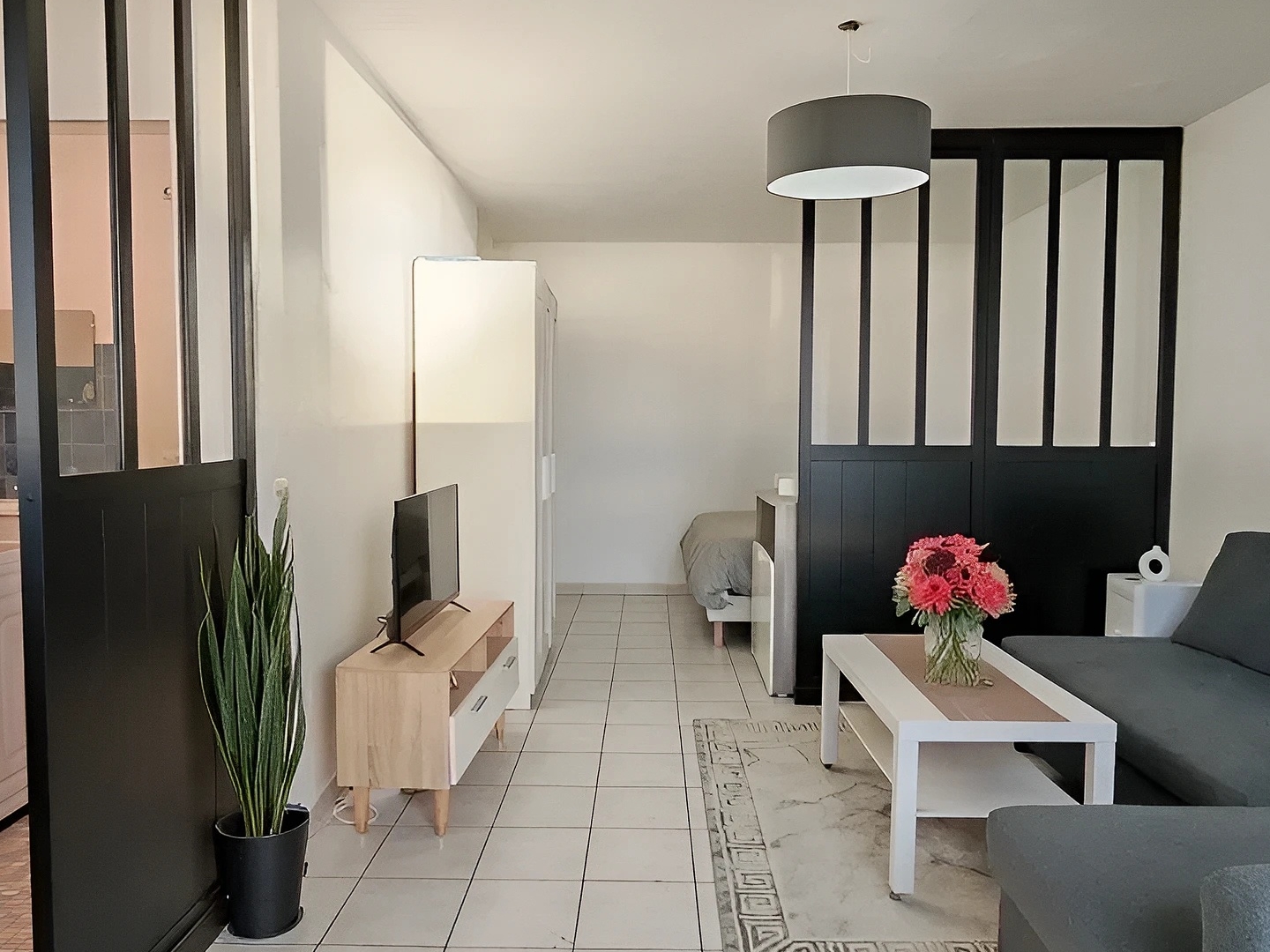 Appartement 1 pièce 48 m²