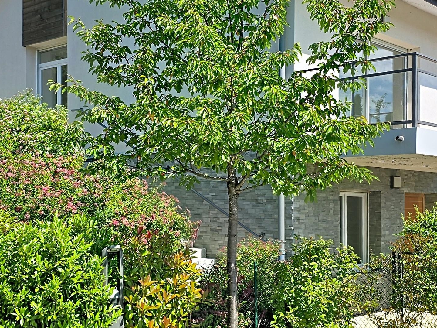 Maison à vendre - 4 pièces - 116m2 - Thoiry (01710)