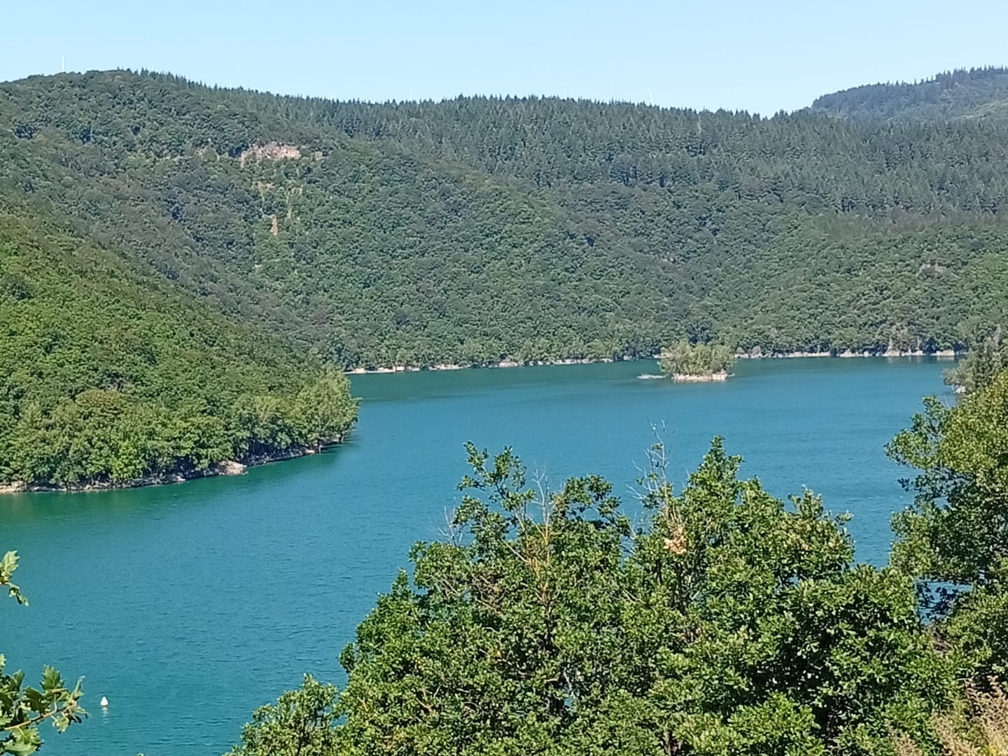Domaine avec maison principale et 12 gîtes ruraux à vendre sur Avène-34