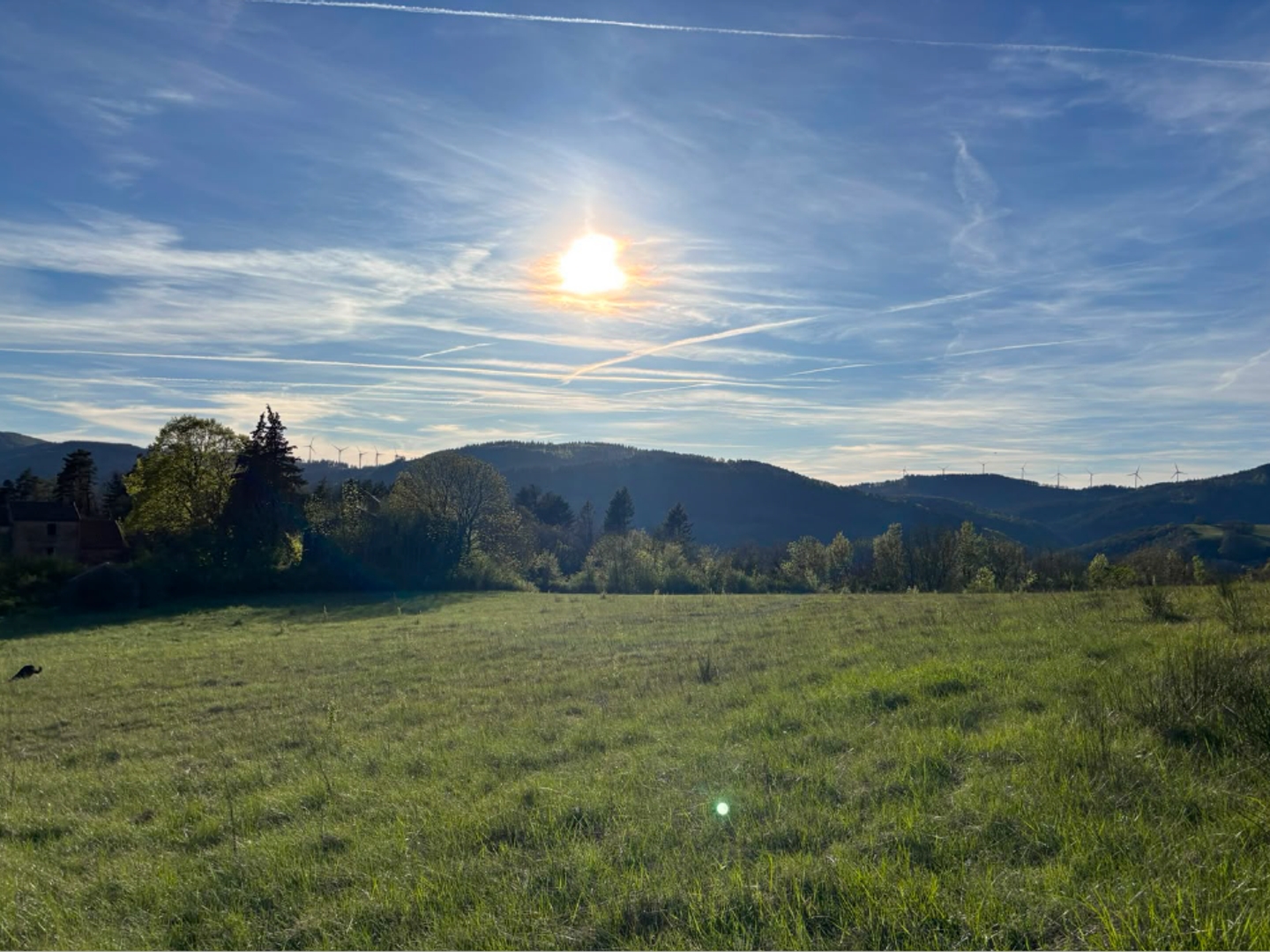 Maison à vendre - 300m2 - Avène (34260)