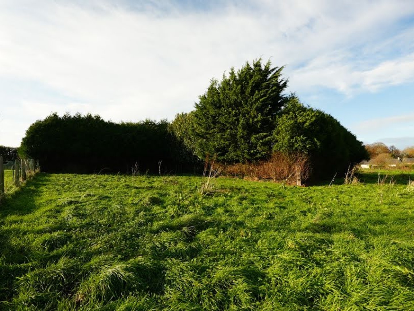 Terrain 443 m²