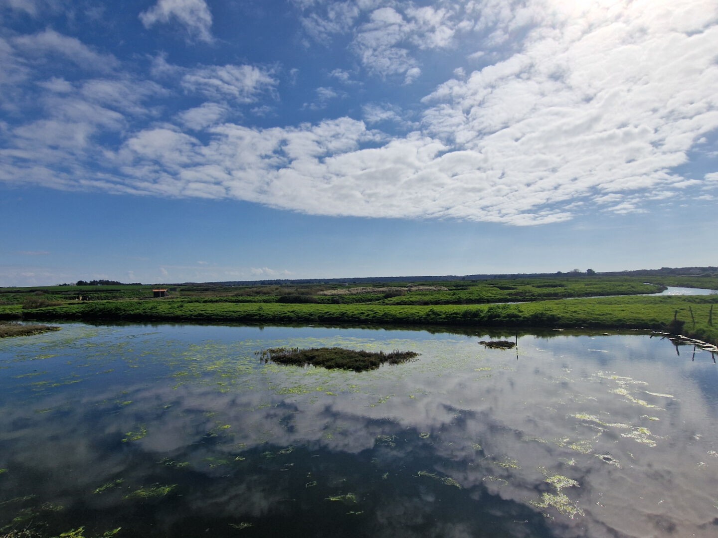 Marais Talmont Saint Hilaire