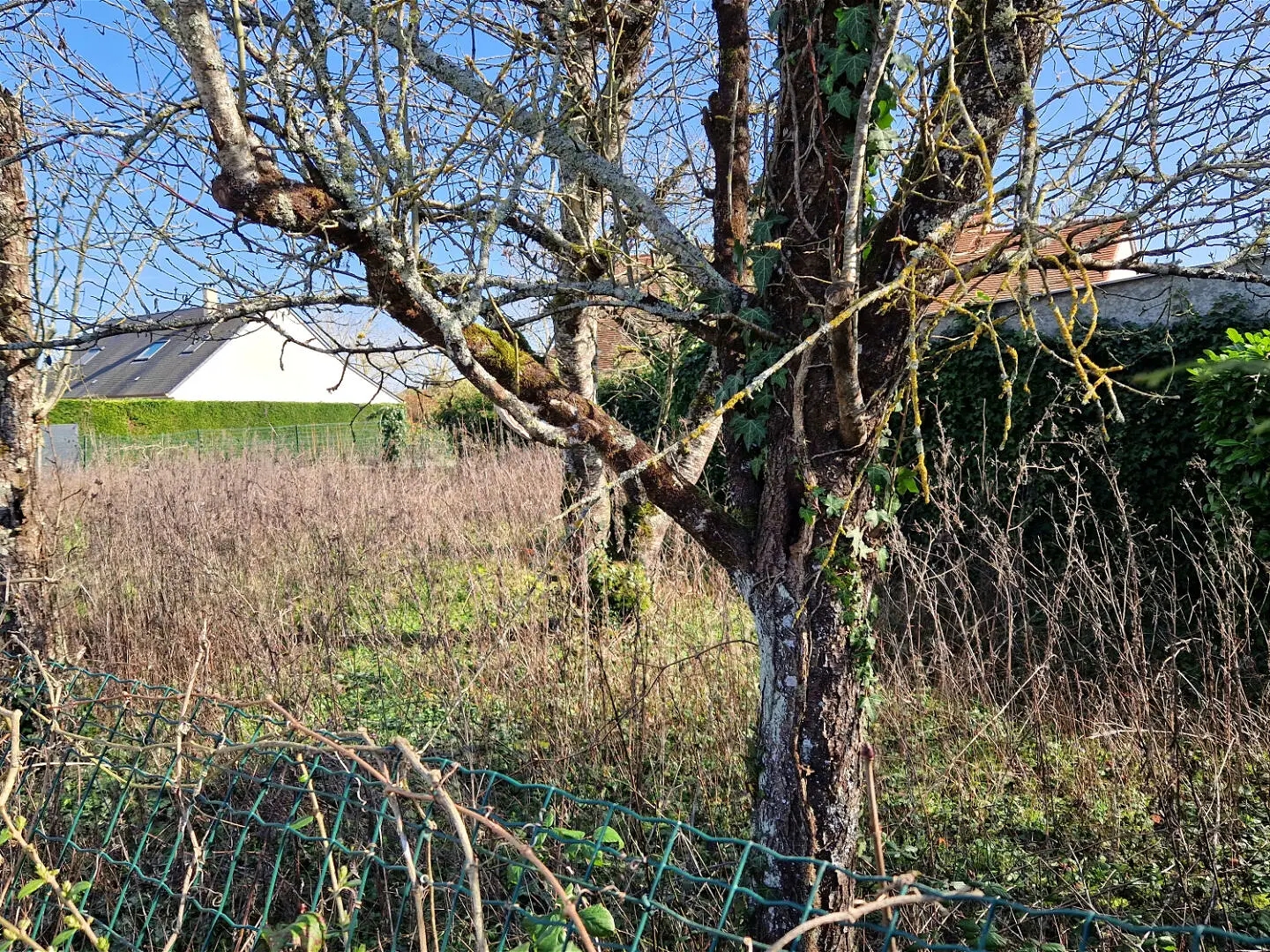 Parking / garage / box à vendre - 327m2 - Manthelan (37240)