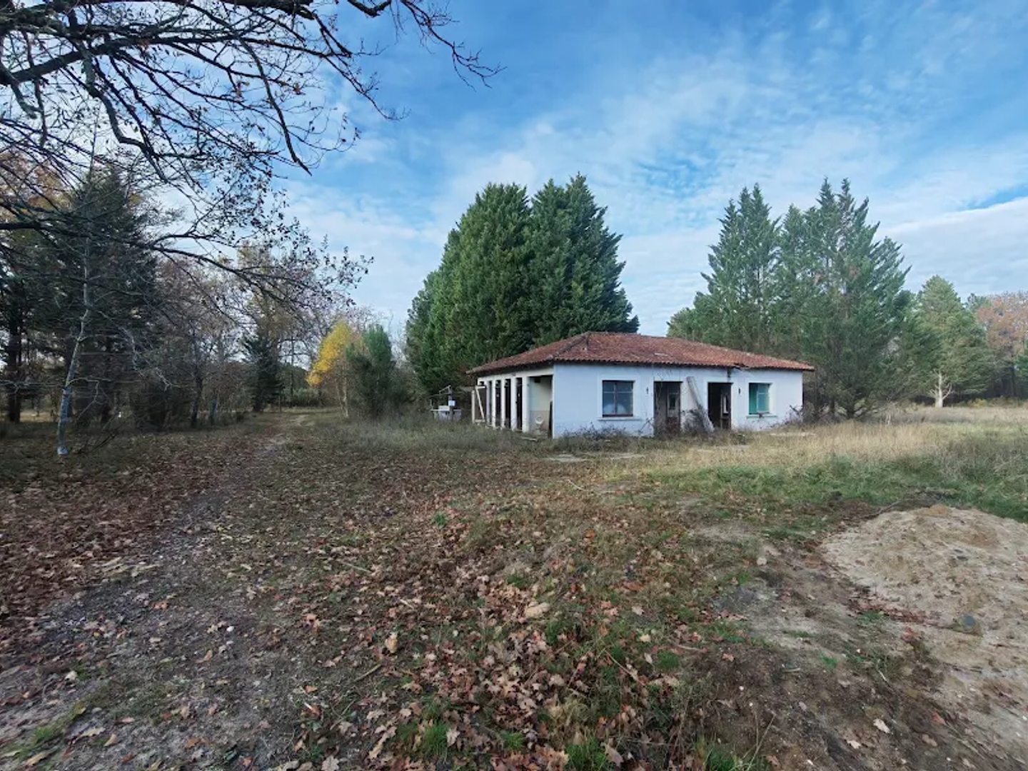 Terrain 36000 m²
