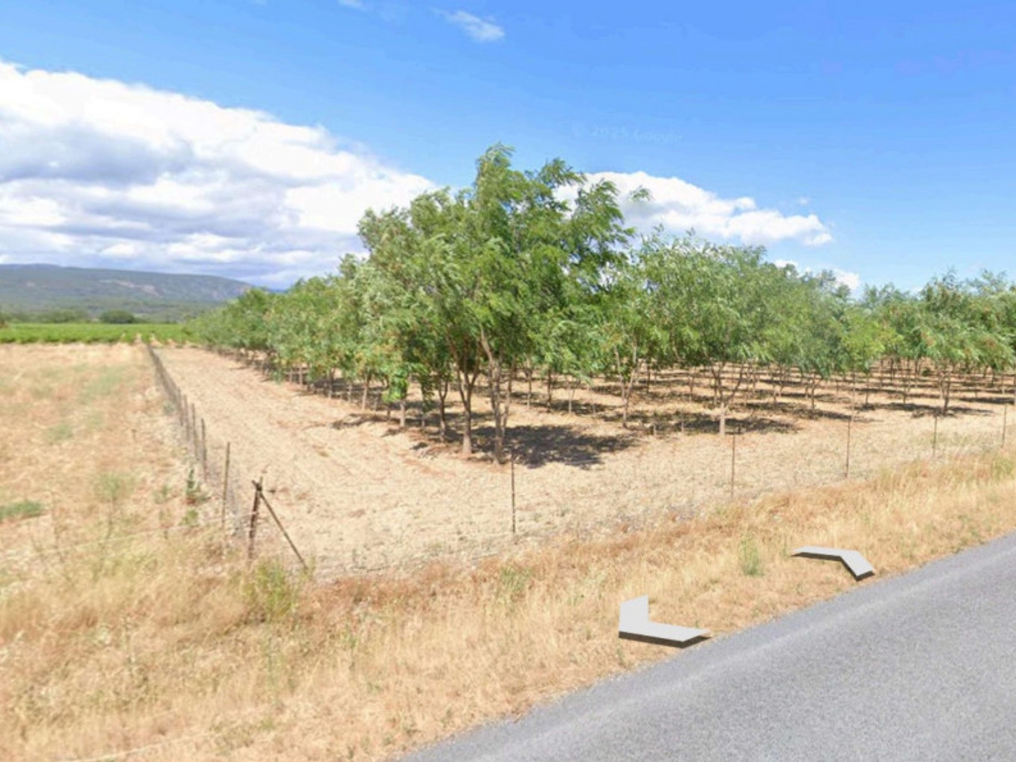 Terrain à vendre - 9455m2 - Laure-Minervois (11800)