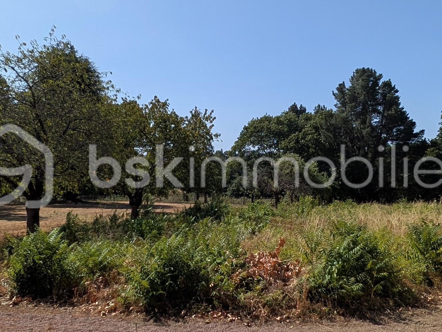 Terrain à vendre - 2514m2 - Divatte-Sur-Loire (44450)