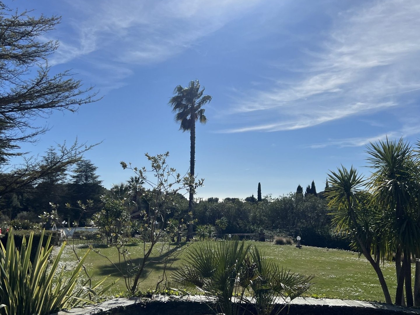 Appartement à vendre - 3 pièces - 75m2 - La Ciotat (13600)