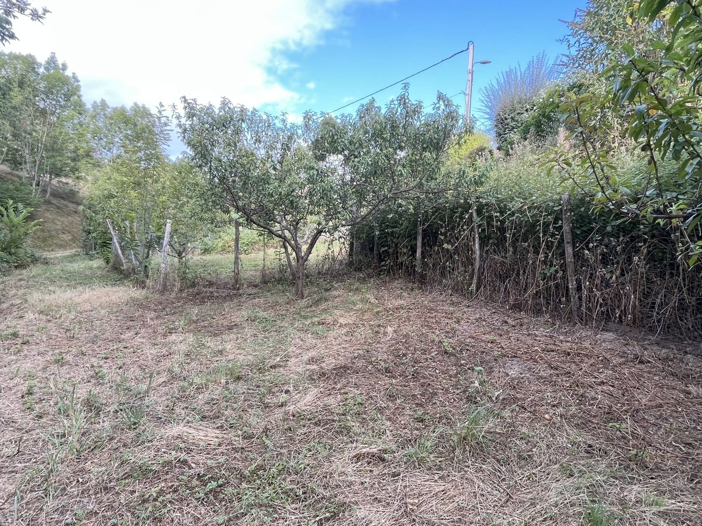 Terrain en individuel 1209 m²