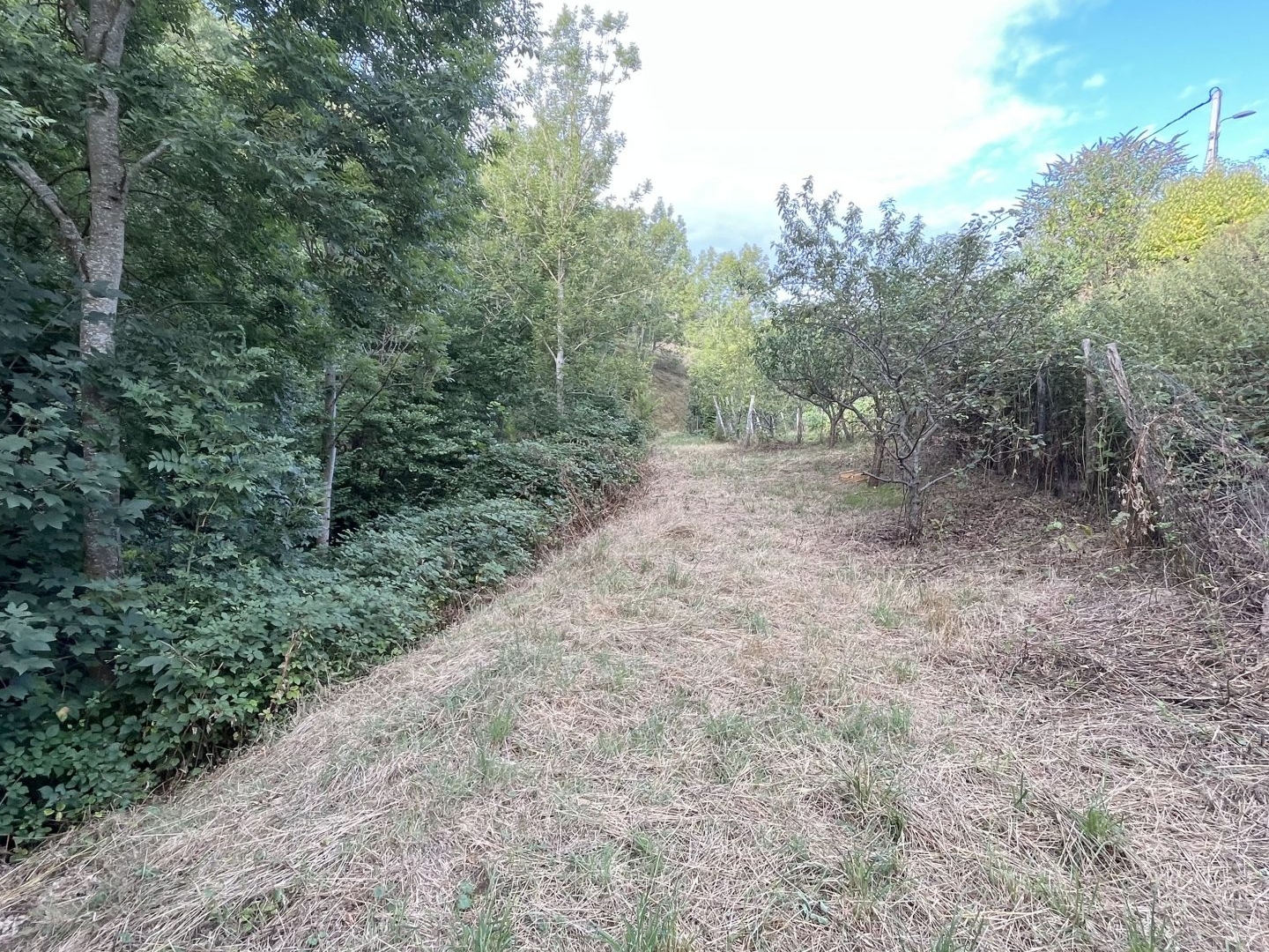 Terrain à vendre - 1209m2 - Saint-Prix (07270)