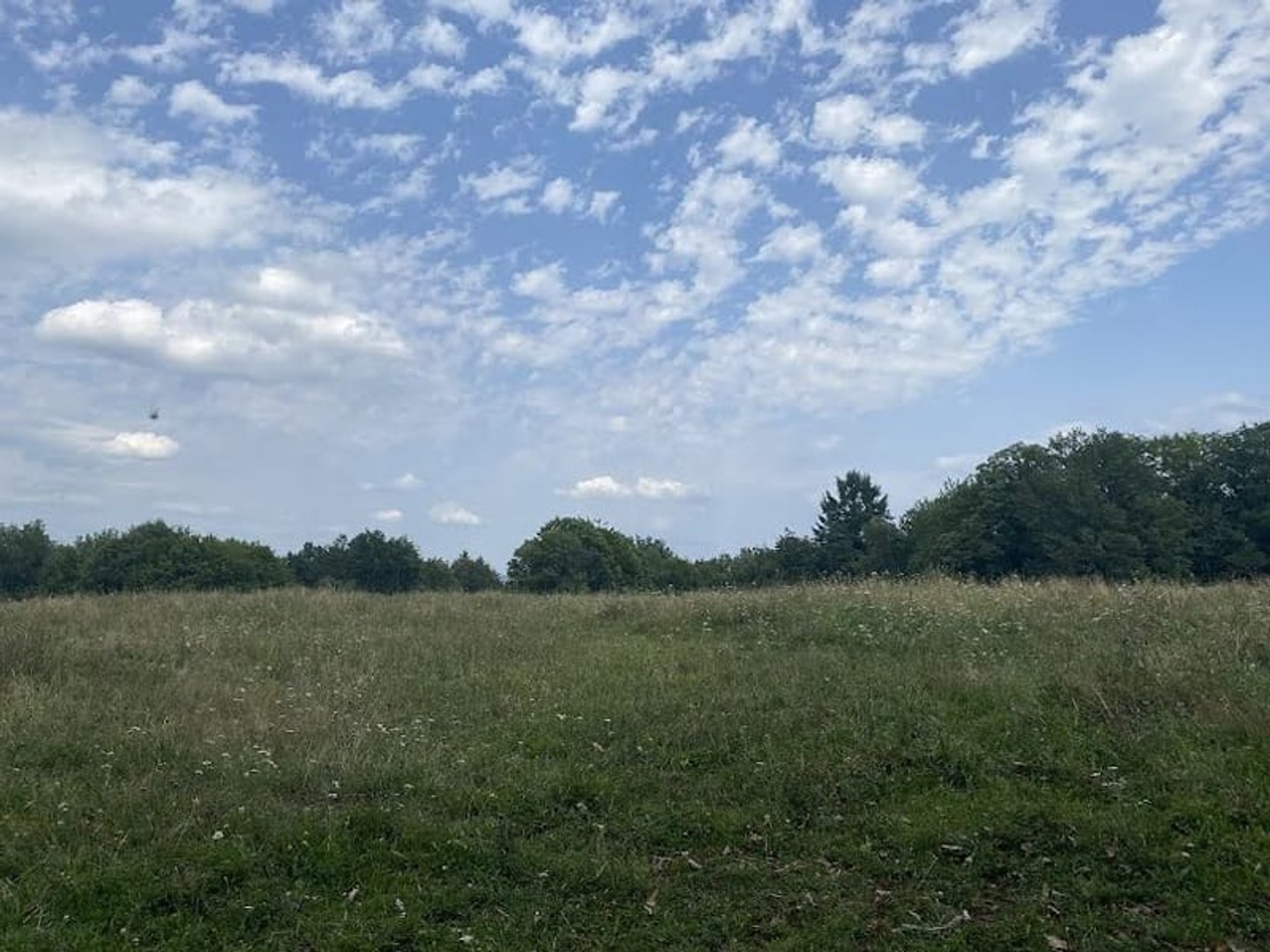 Terrain à bâtir 4975 m²