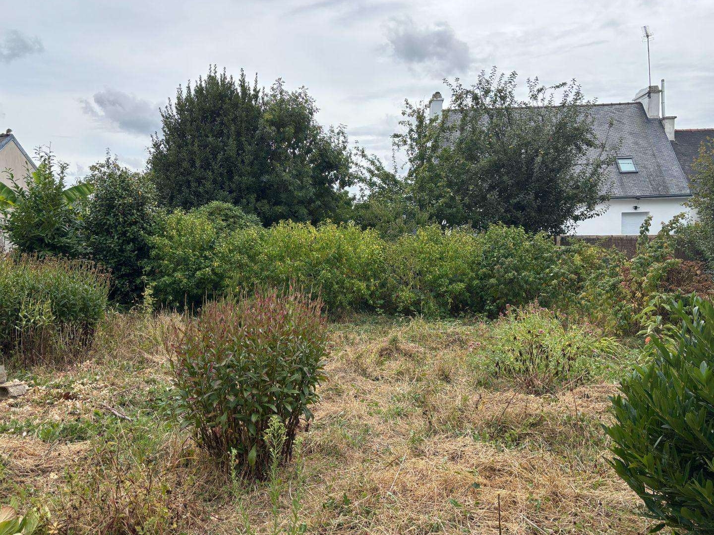 Terrain 437 m²