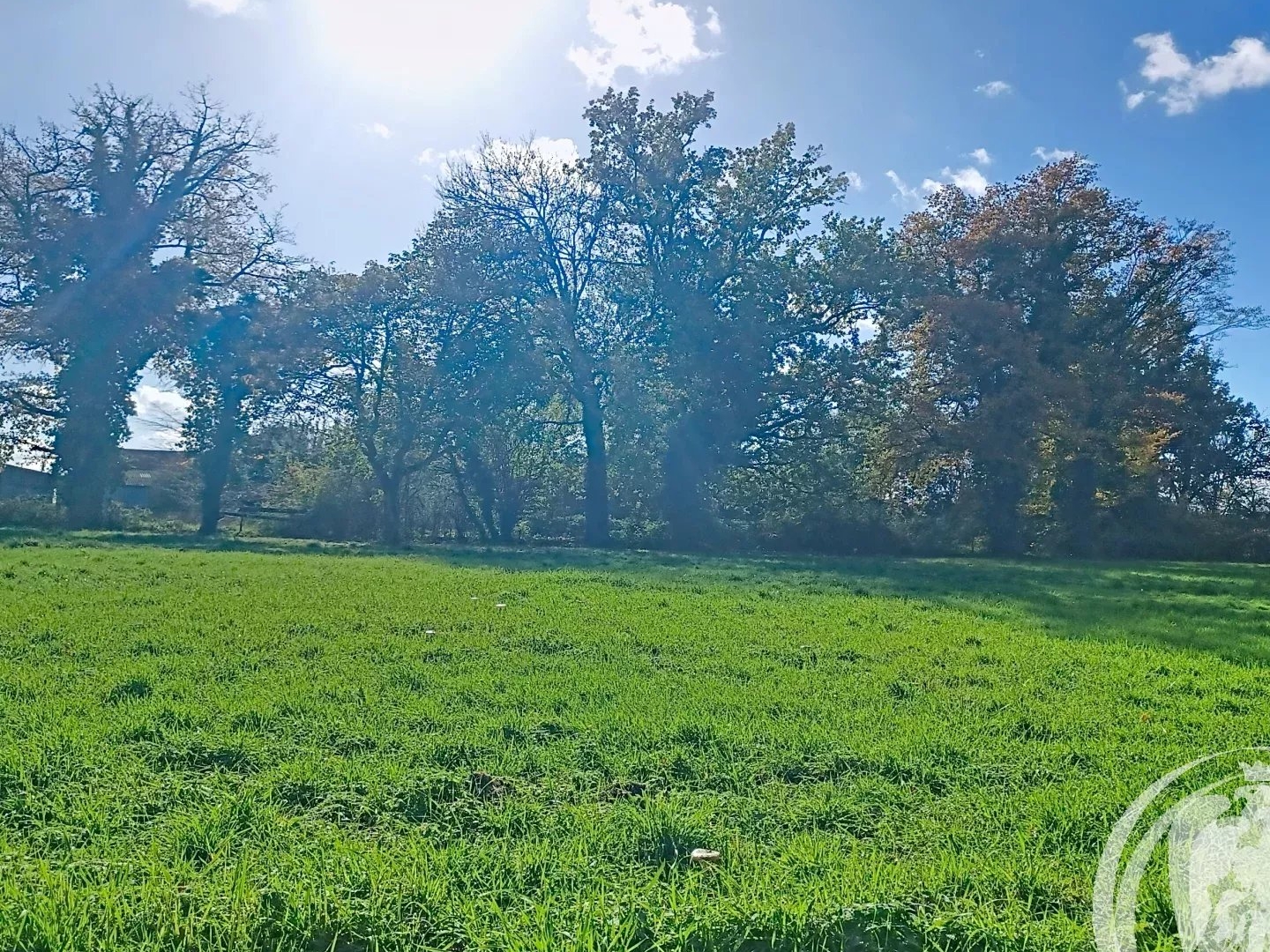 Terrain à vendre - 1990m2 - Saint-Étienne-De-... (03300)