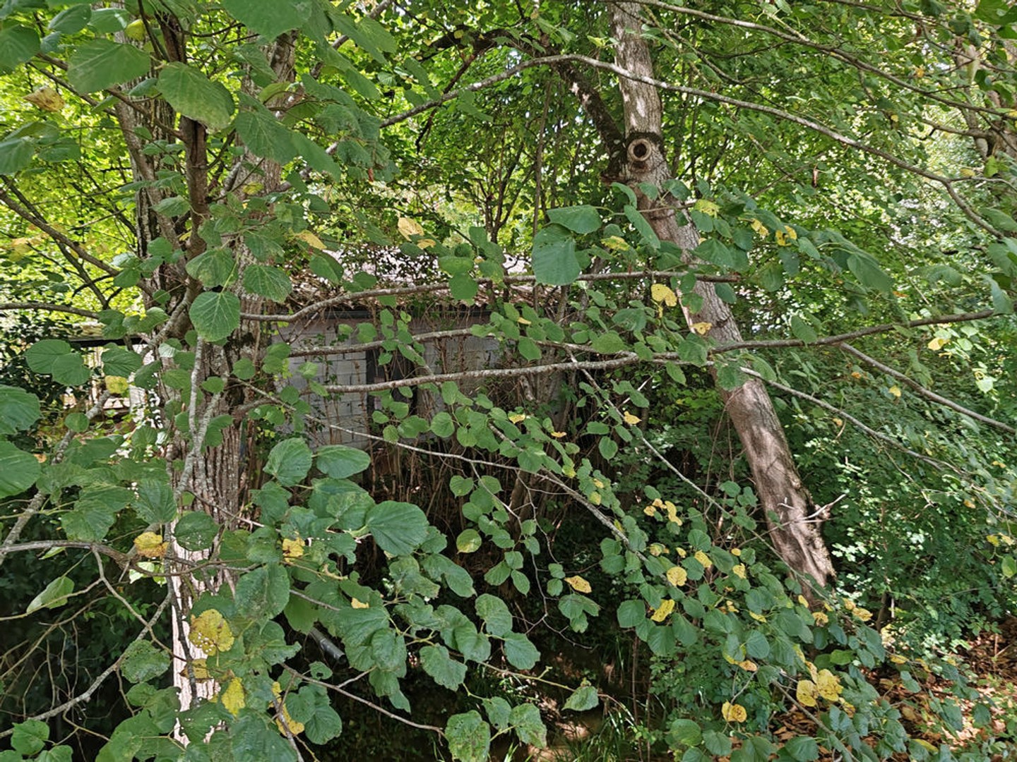 A VENDRE - Garage pouvant être transformé en habitation