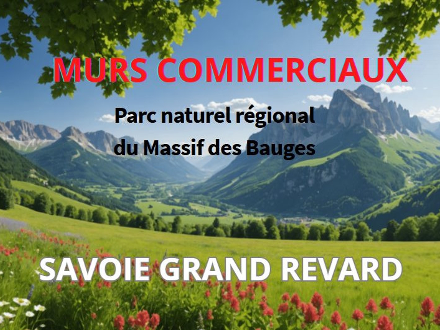 Immobilier pro dans la feclaz