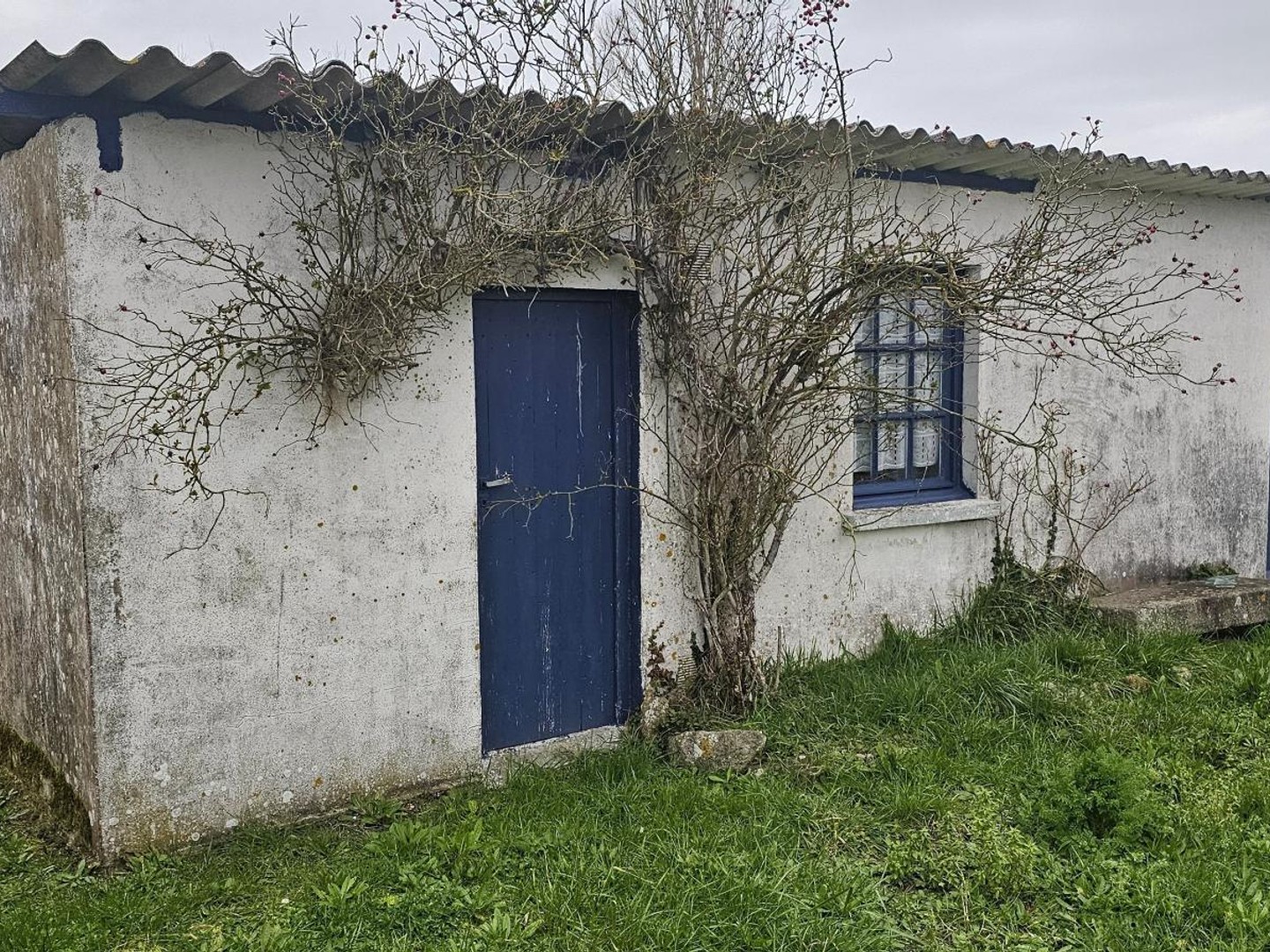 Locaux à vendre - 1 pièce - 30m2 - Cherrueix (35120)