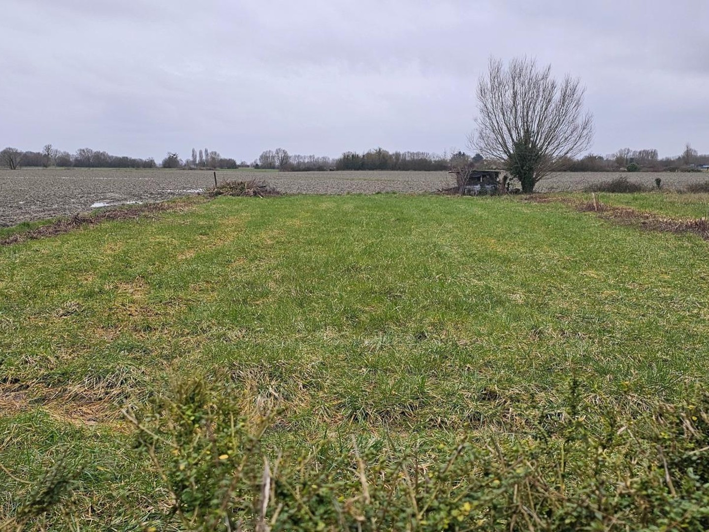 Locaux à vendre - 1 pièce - 30m2 - Cherrueix (35120)