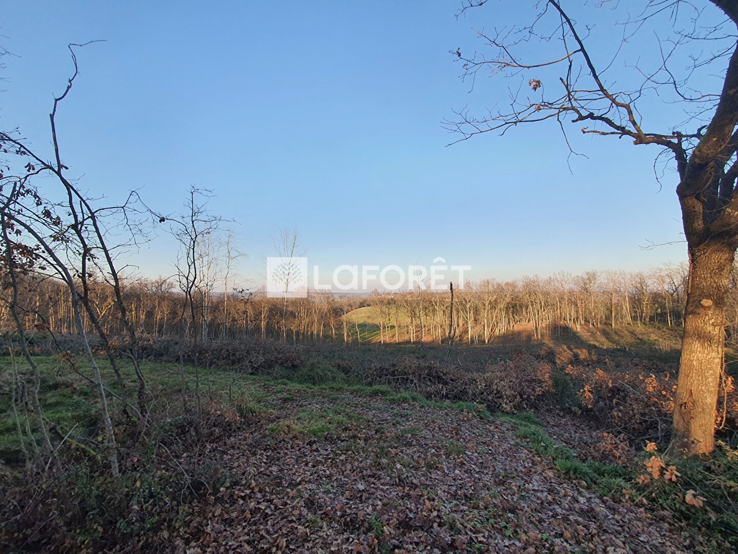 Terrain 1428 m²