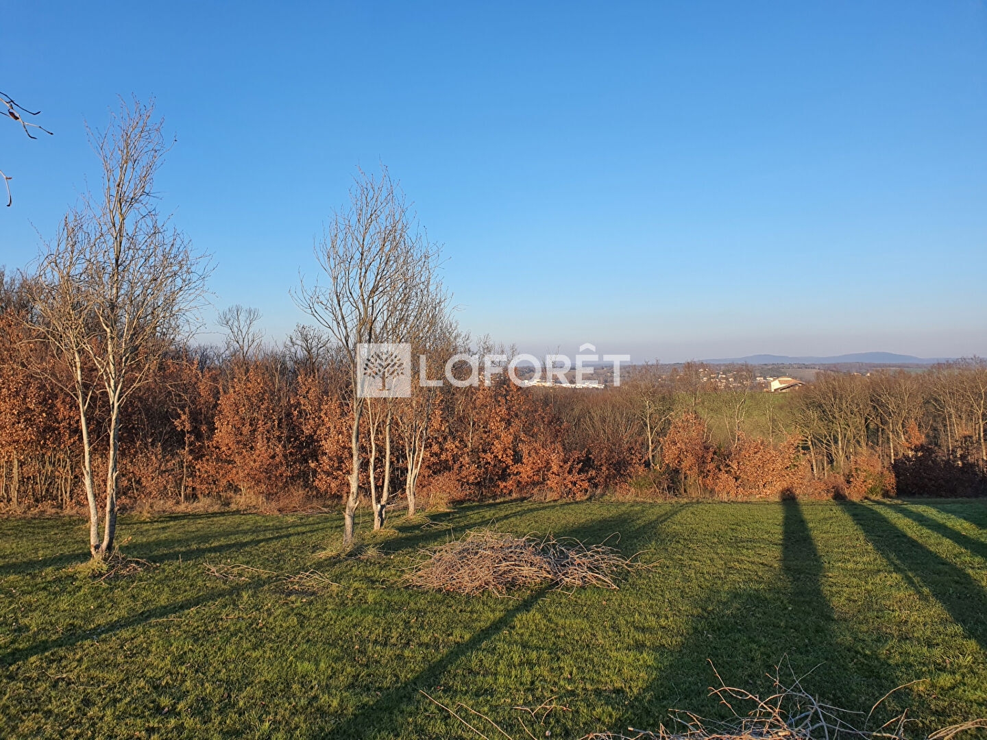 Terrain à vendre - 1428m2 - Montdurausse (81630)
