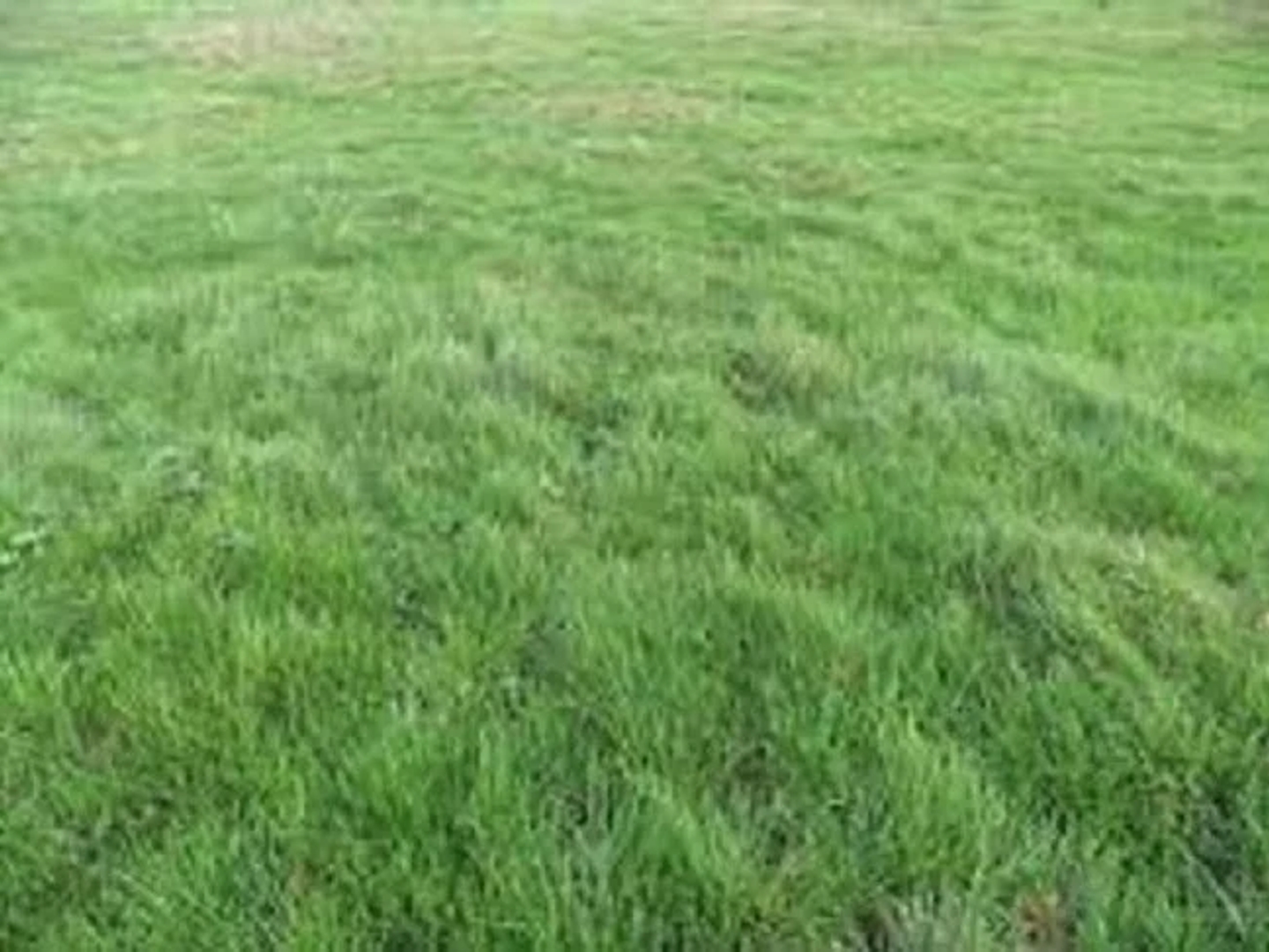 Terrain 553 m²