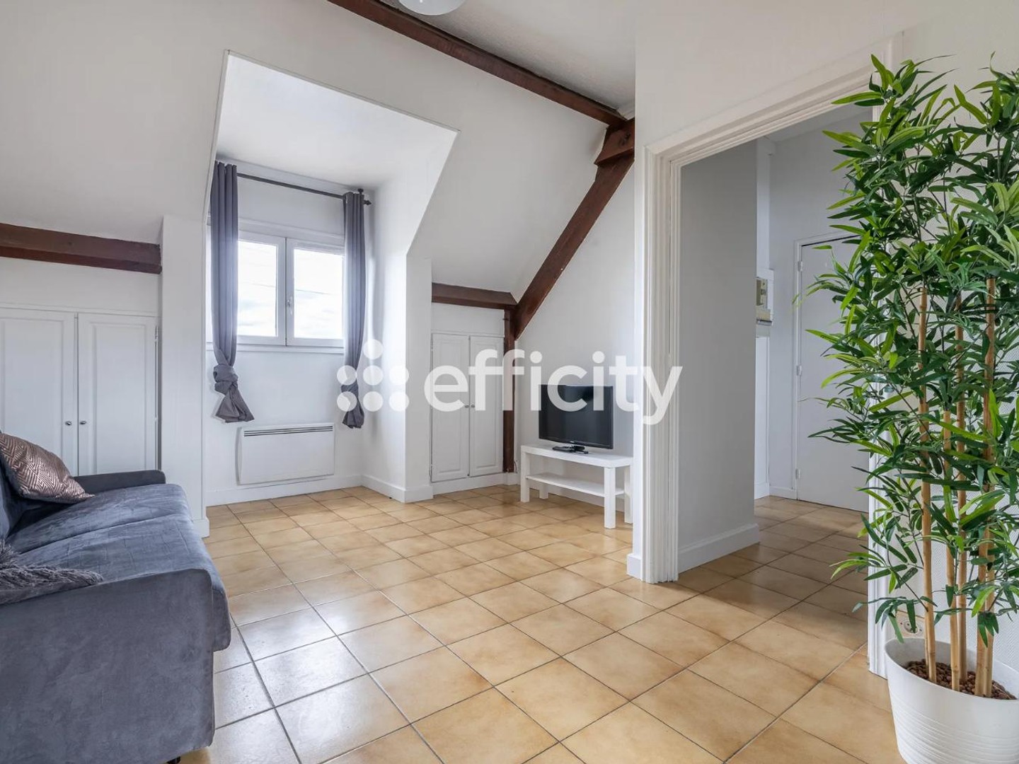 Appartement 1 pièce 24 m²