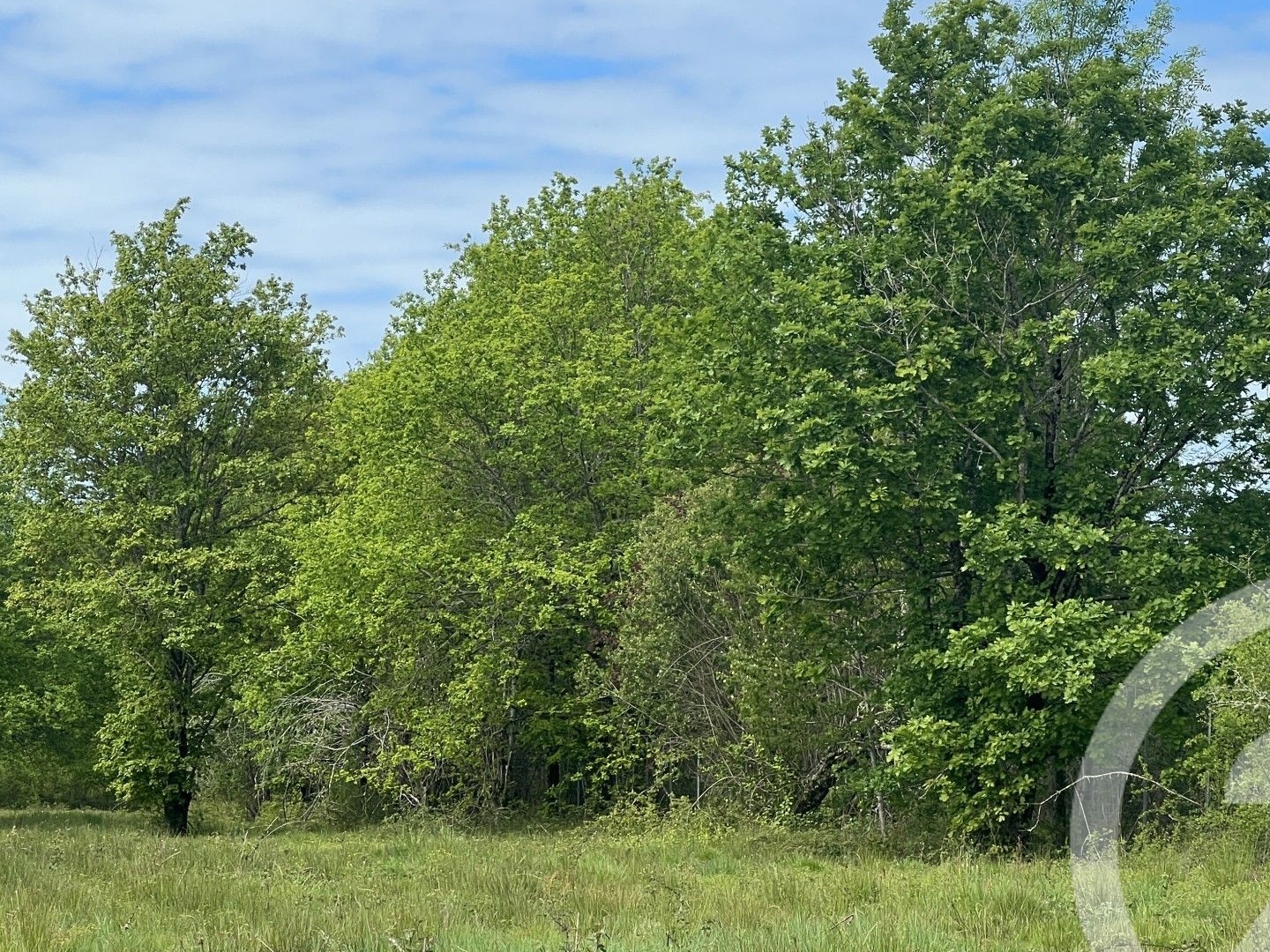 Terrain à vendre - 5174m2 - Montpon-Ménestérol (24700)
