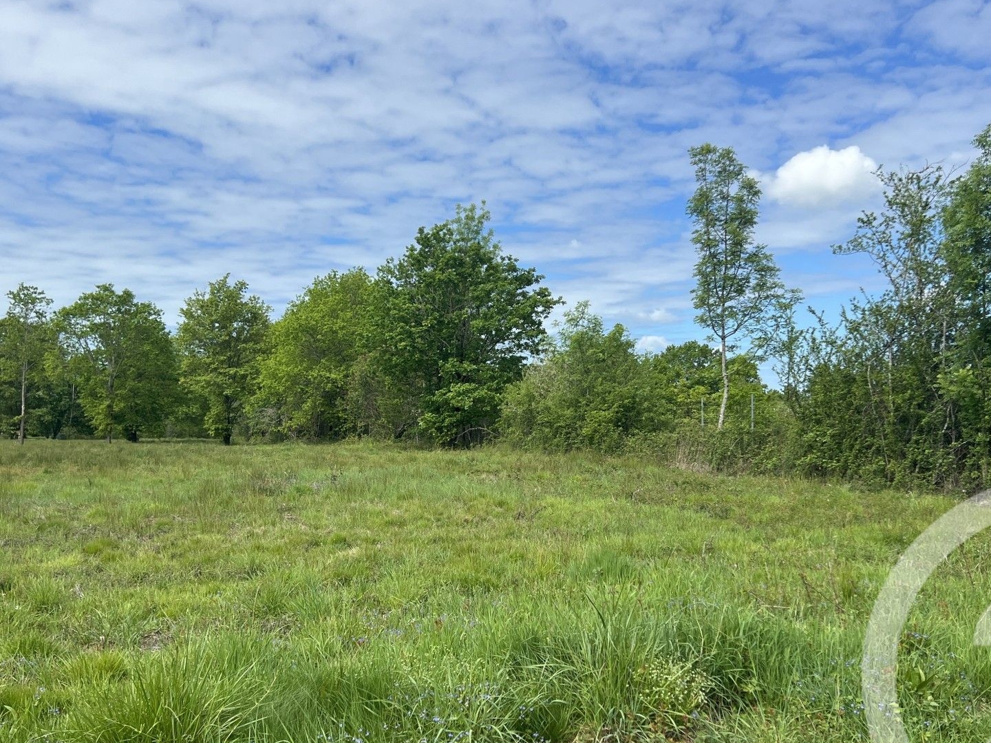 Terrain à vendre - 5174m2 - Montpon-Ménestérol (24700)