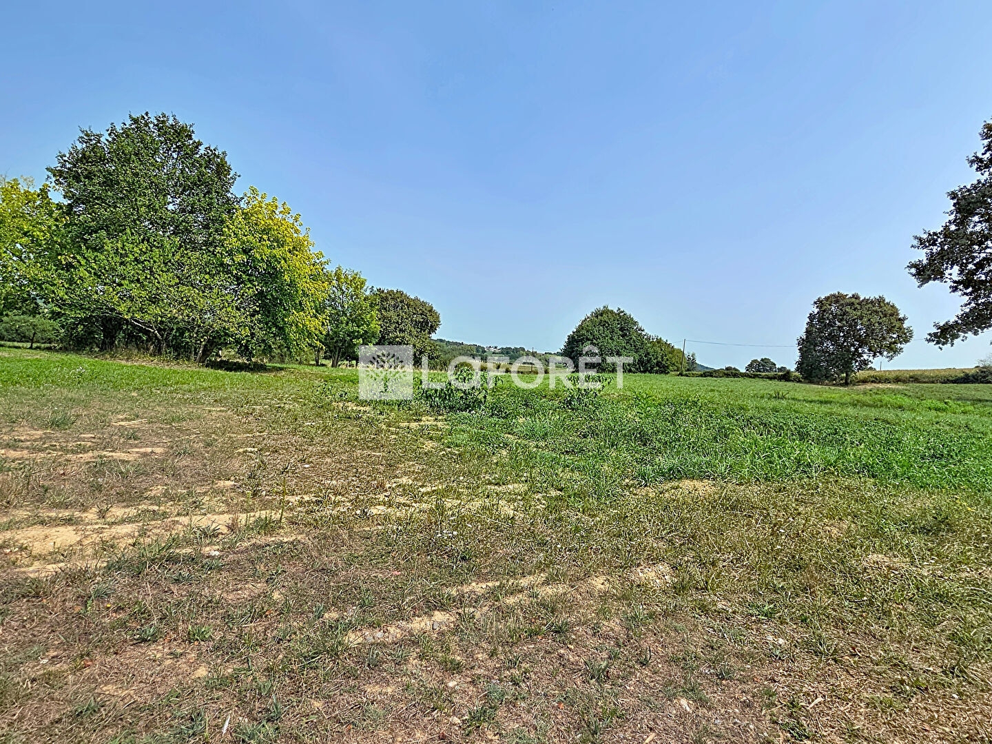 Terrain à vendre - 13905m2 - Orthez (64300)
